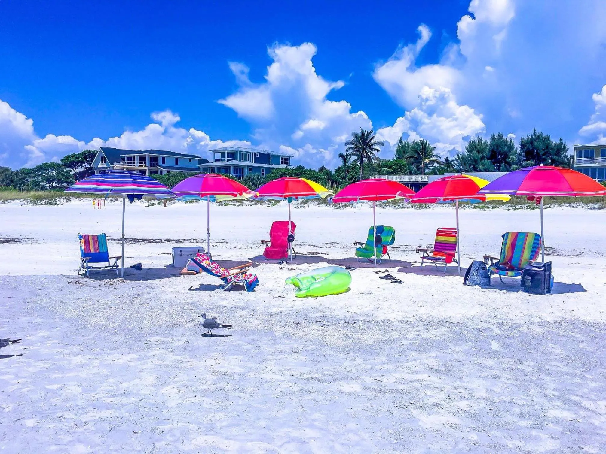 Anna Maria Island Beach Sands 101