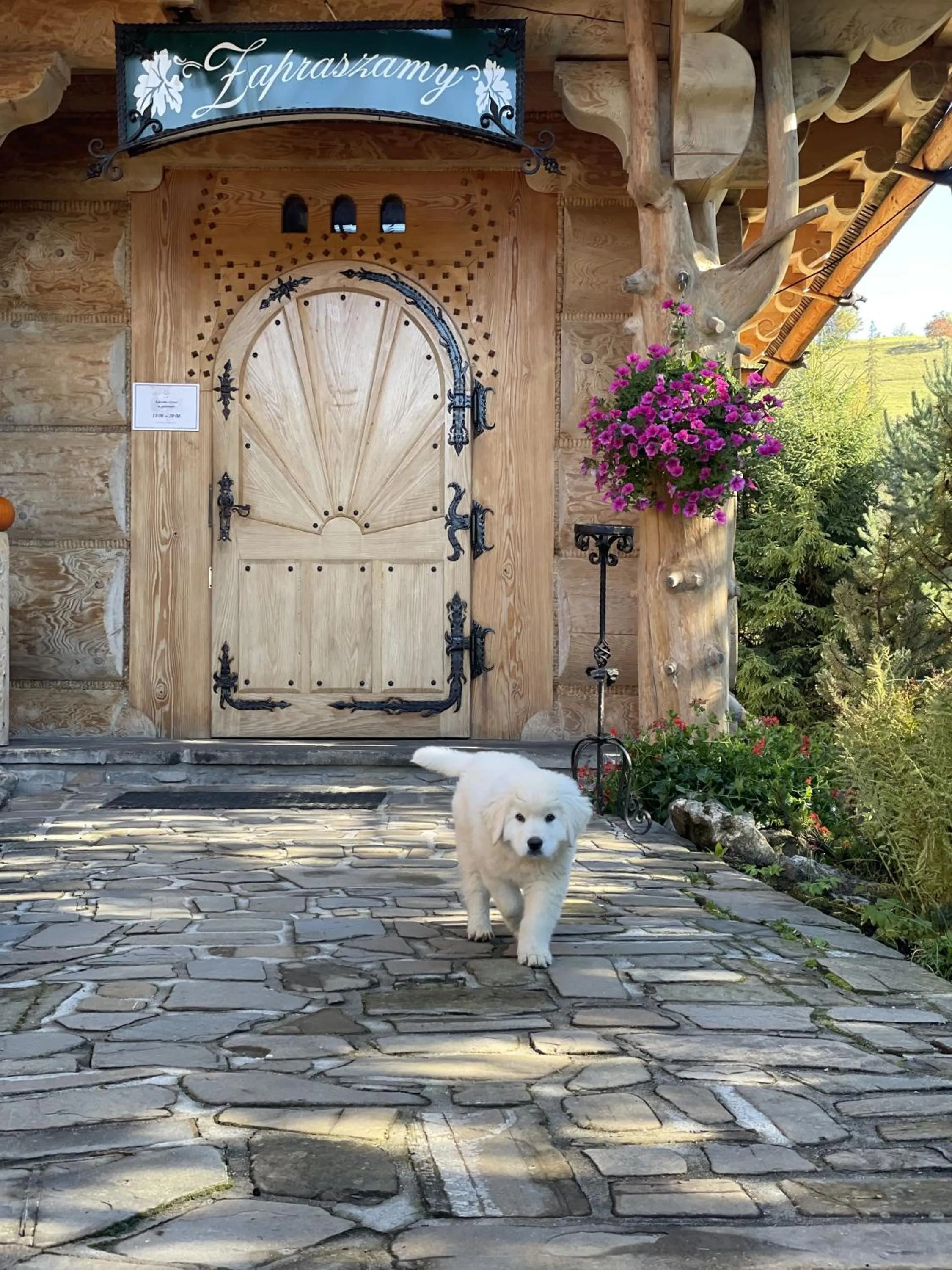Property building in Tatrzański Bór Apartamenty