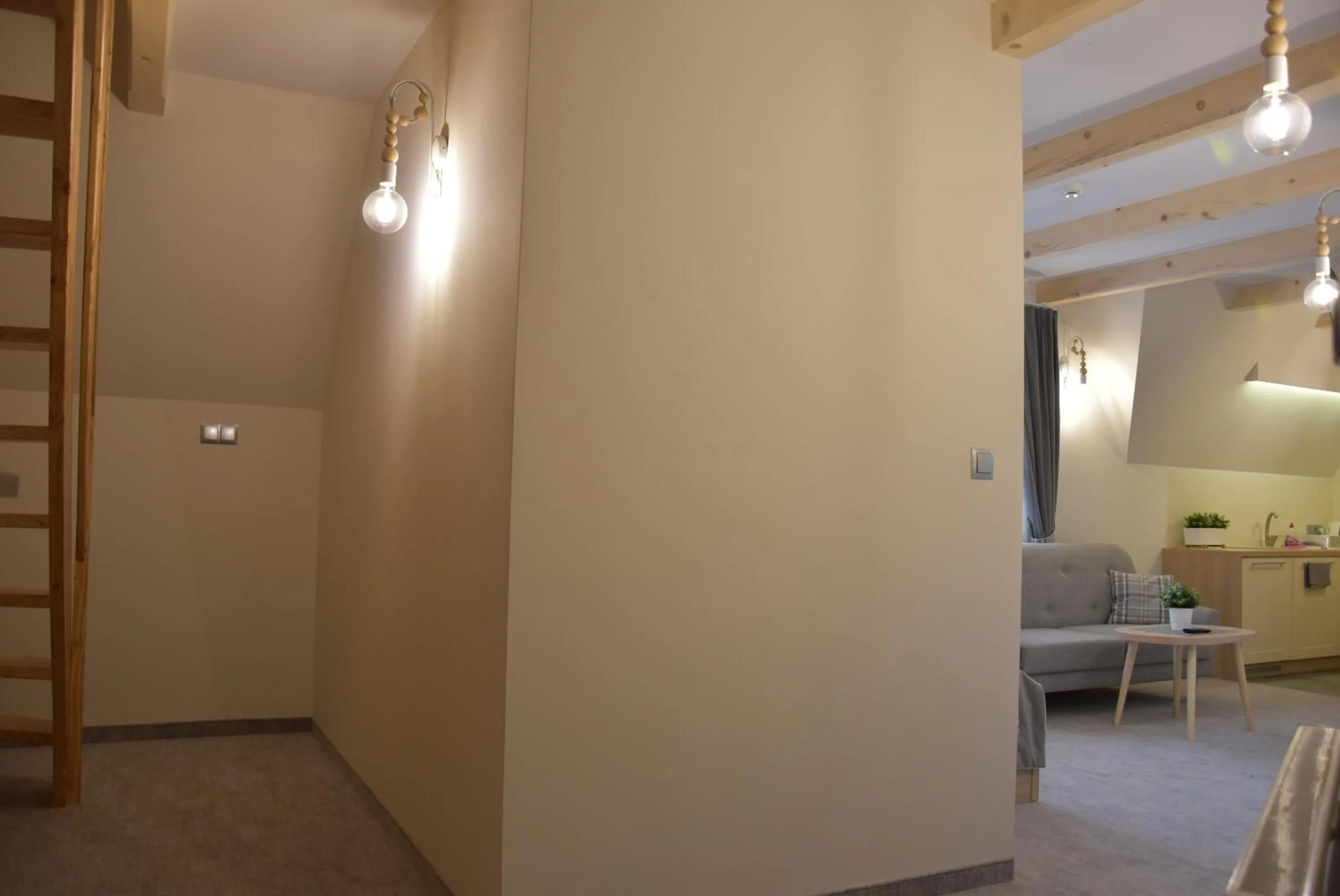 Kitchen or kitchenette in Tatrzański Bór Apartamenty