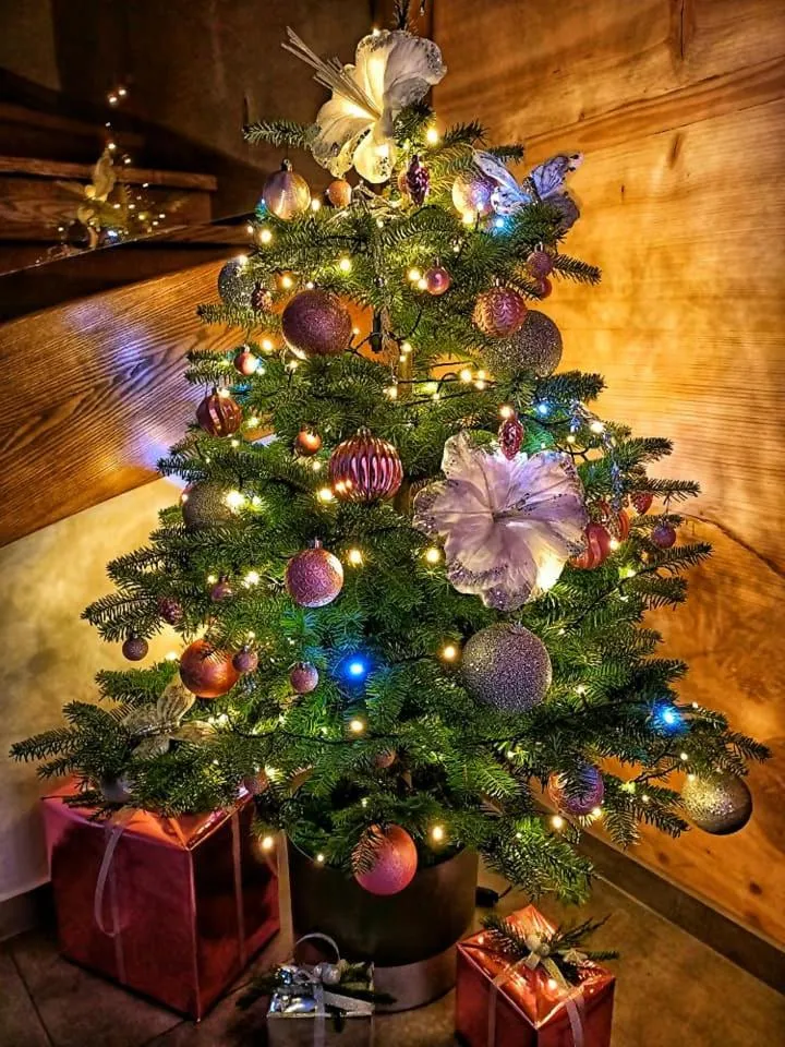 Tatrzański Bór Apartamenty