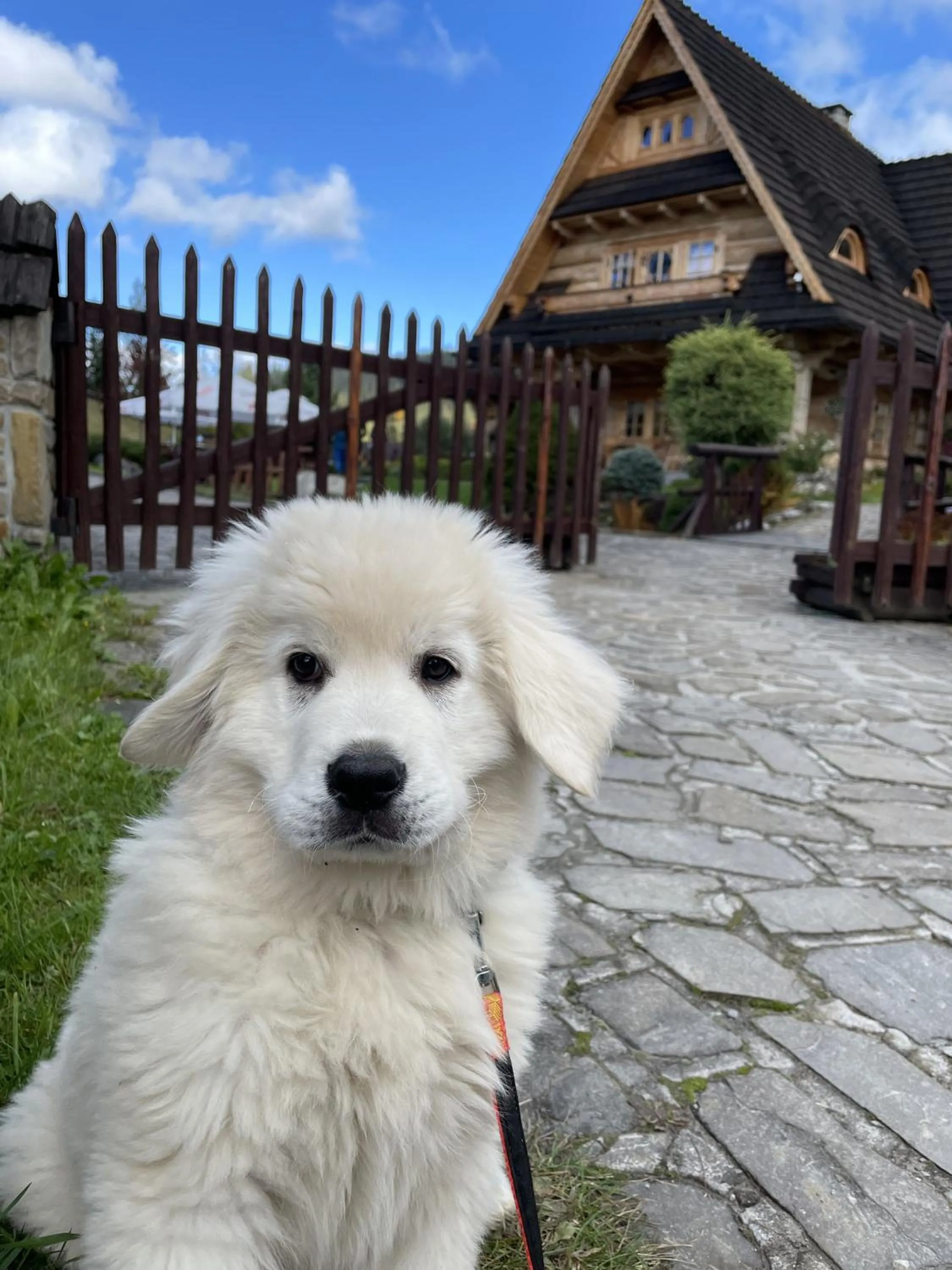 Restaurant/places to eat in Tatrzański Bór Apartamenty