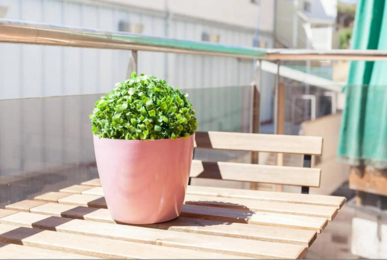 Balcony/Terrace in LG Plaza Merida