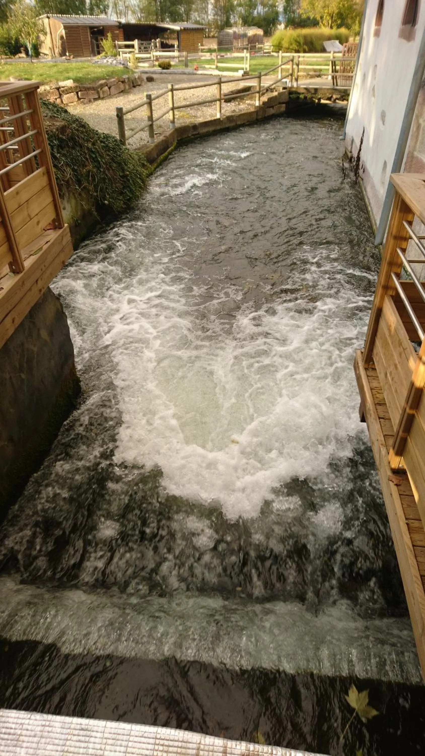 River view in Le Moulin d'Oscar & Spa - Mulhouse Nord