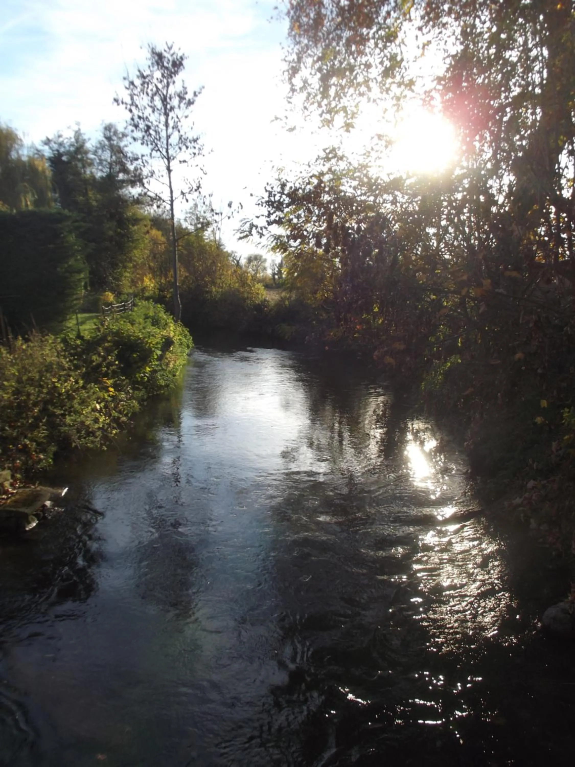 River view in Le Moulin d'Oscar & Spa - Mulhouse Nord