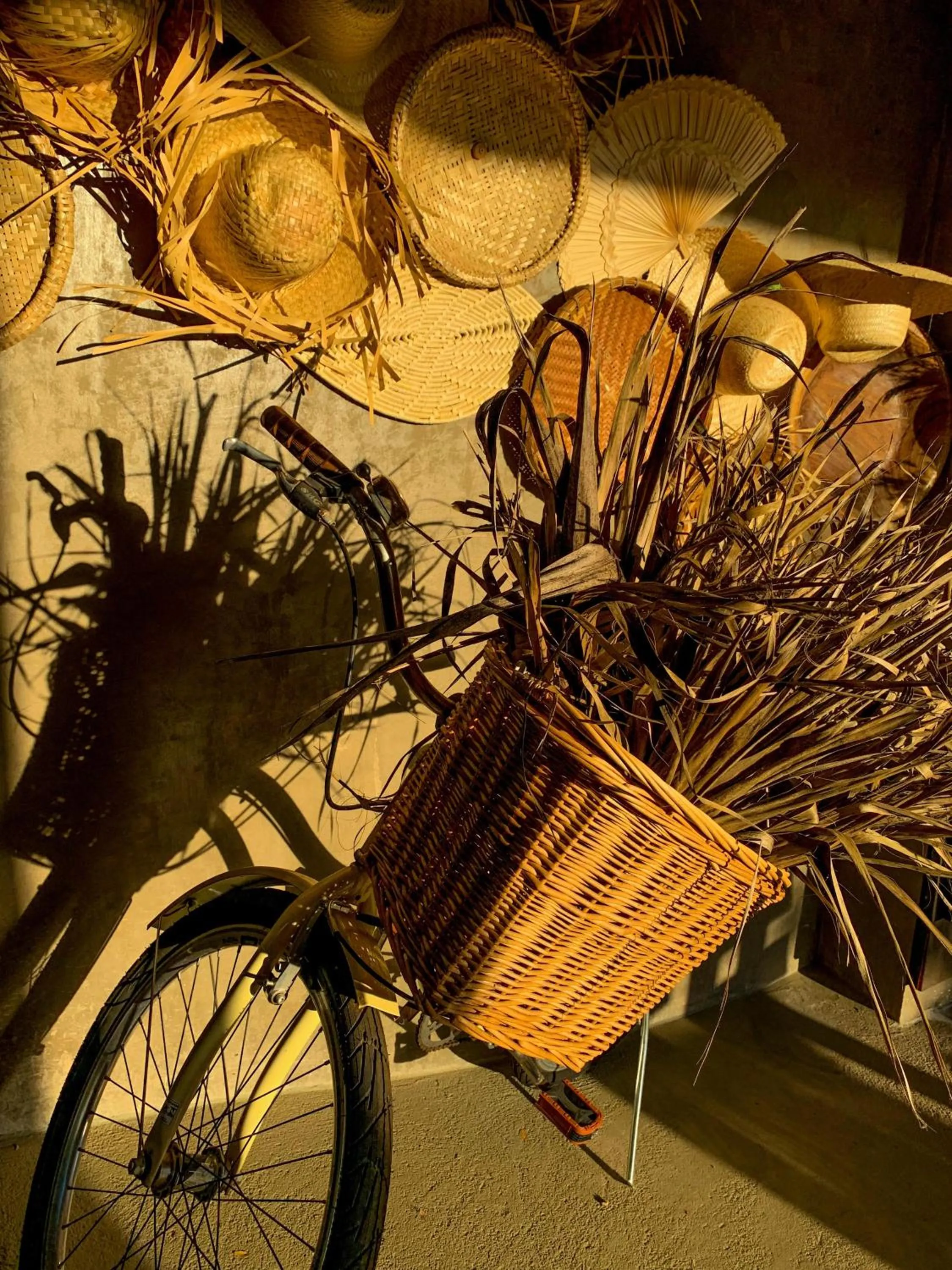 Area and facilities in Pousada Verde Villas