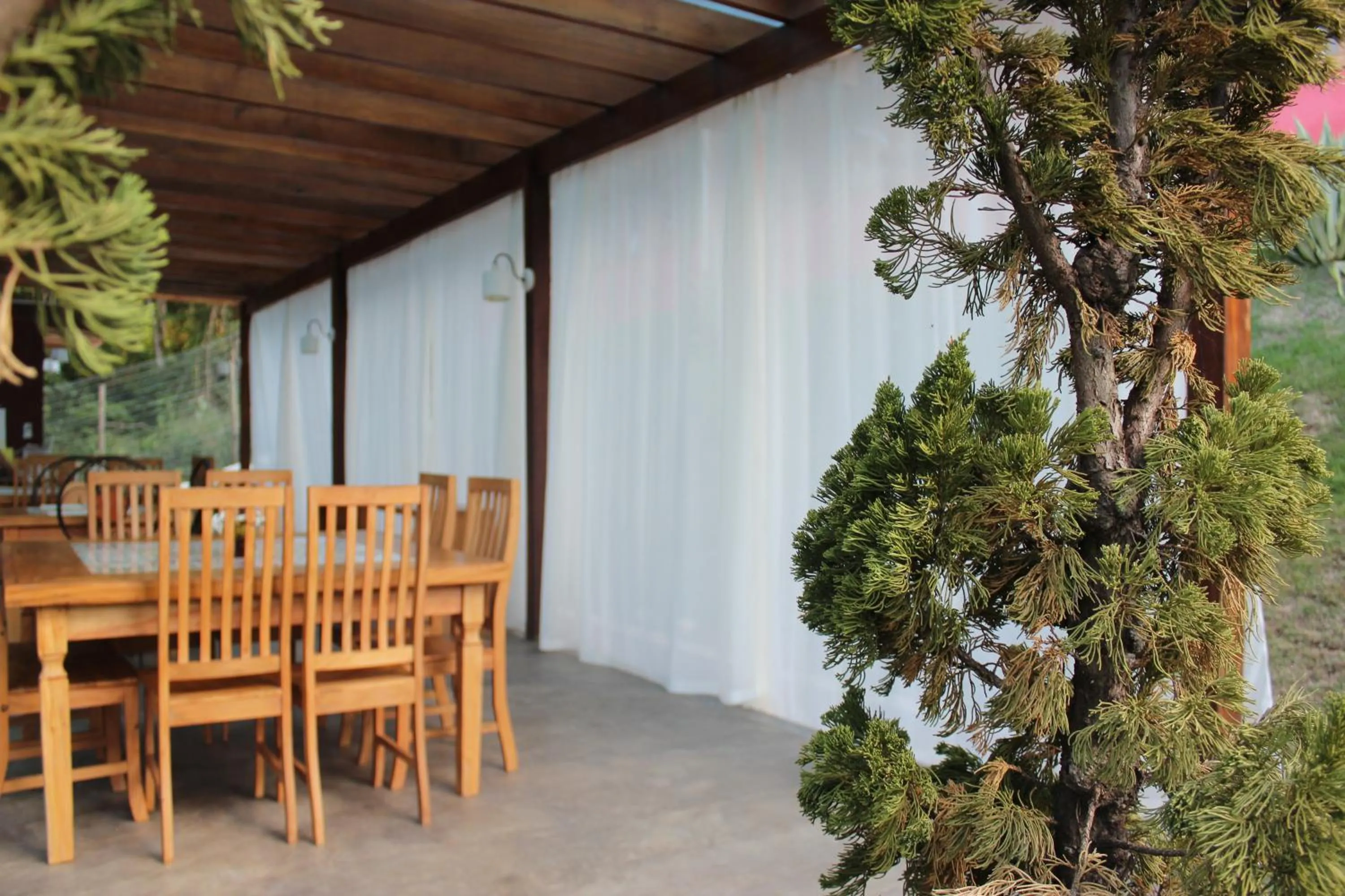 Dinner in Pousada Verde Villas