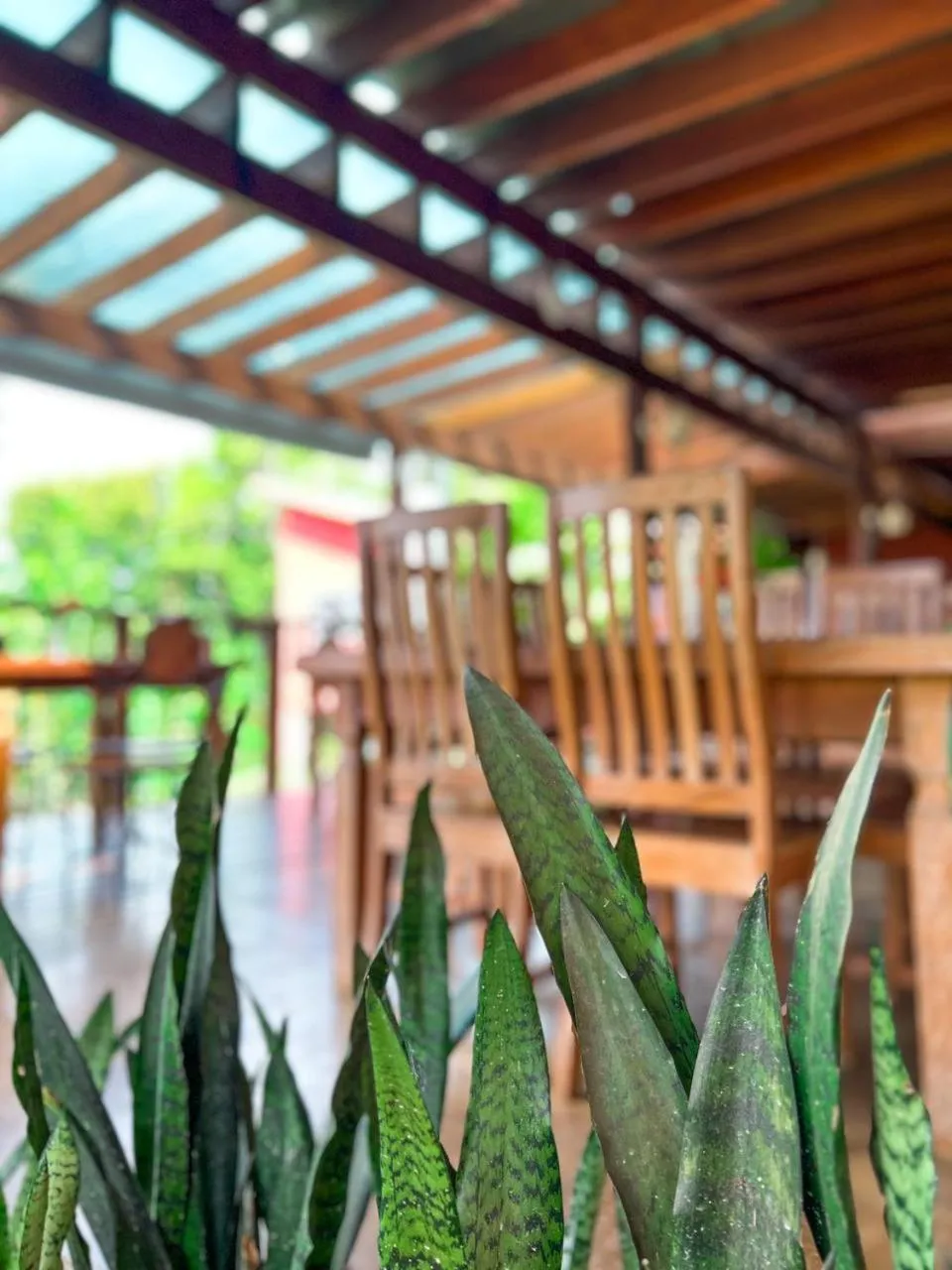 Restaurant/places to eat in Pousada Verde Villas