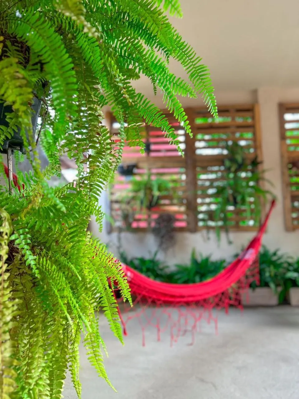 Property building in Pousada Verde Villas