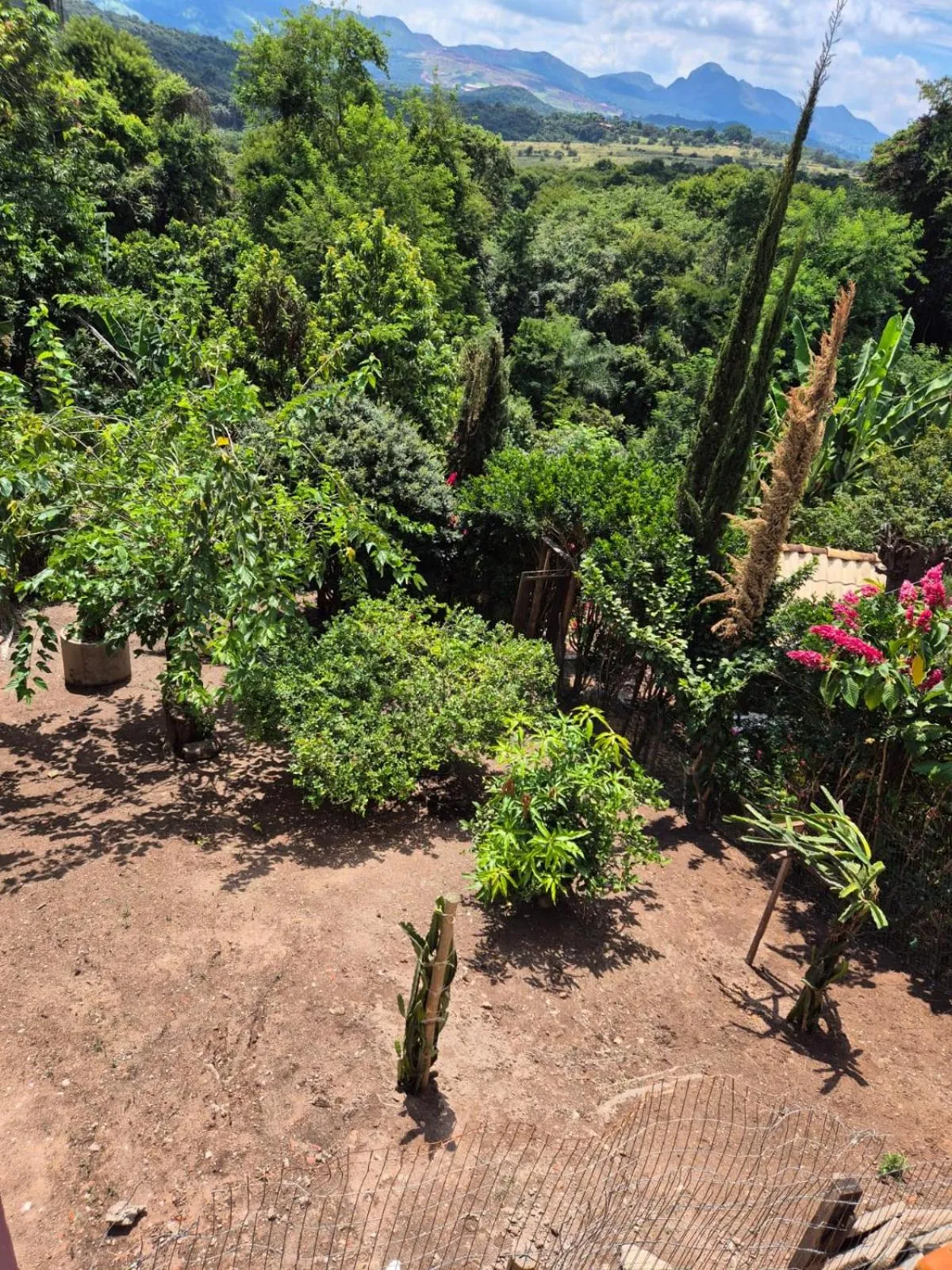 Garden in Pousada Verde Villas
