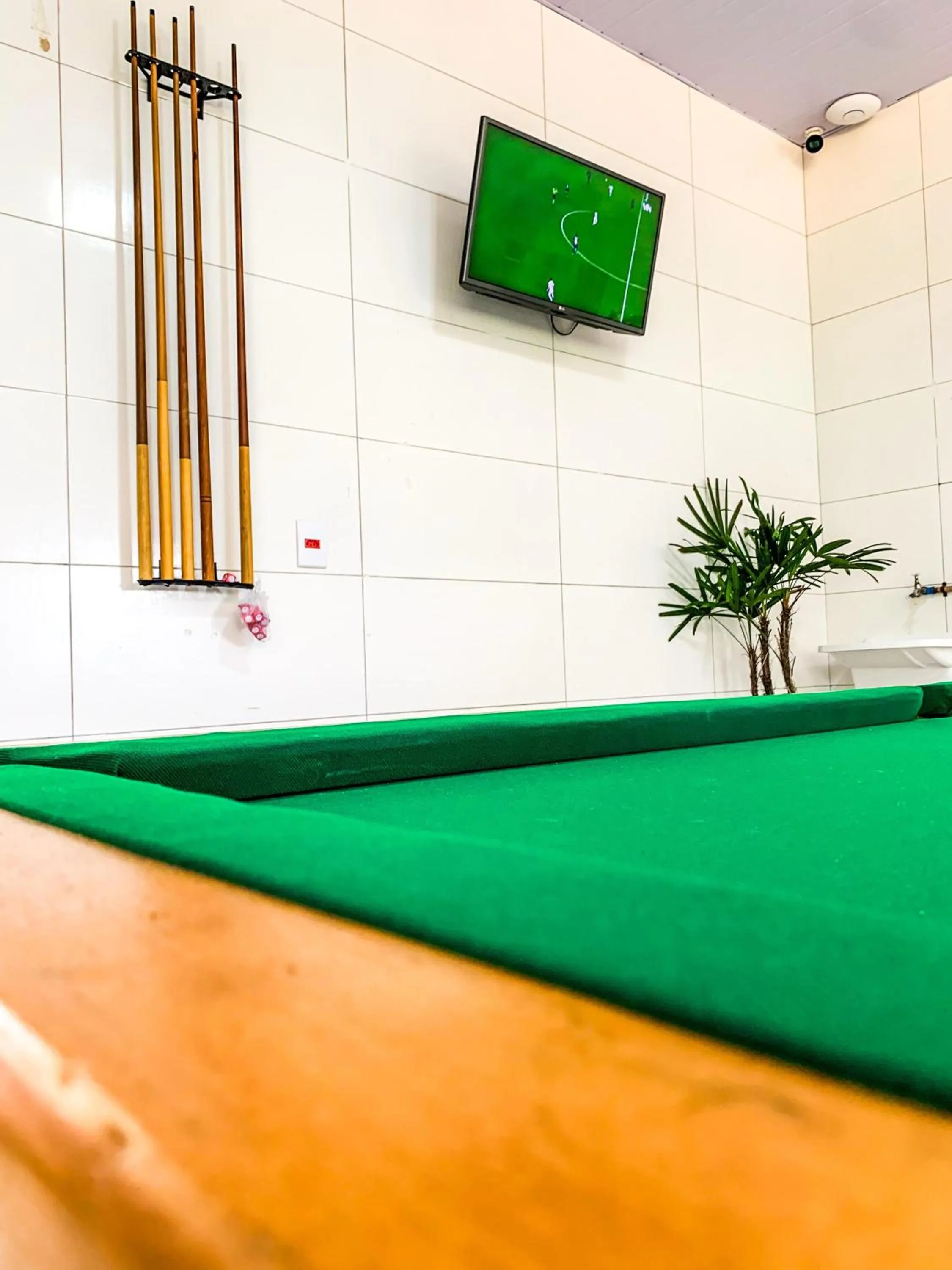 Billiard in Pousada Verde Villas