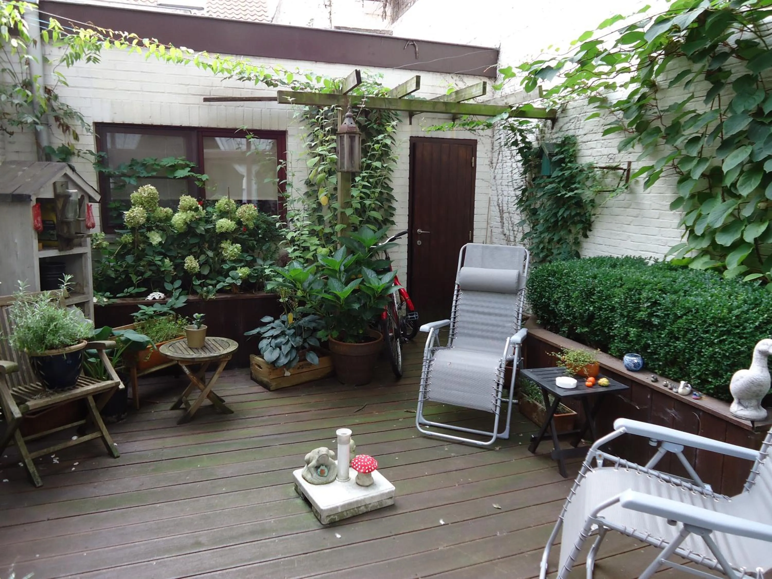 Patio in Hotel Groeninghe