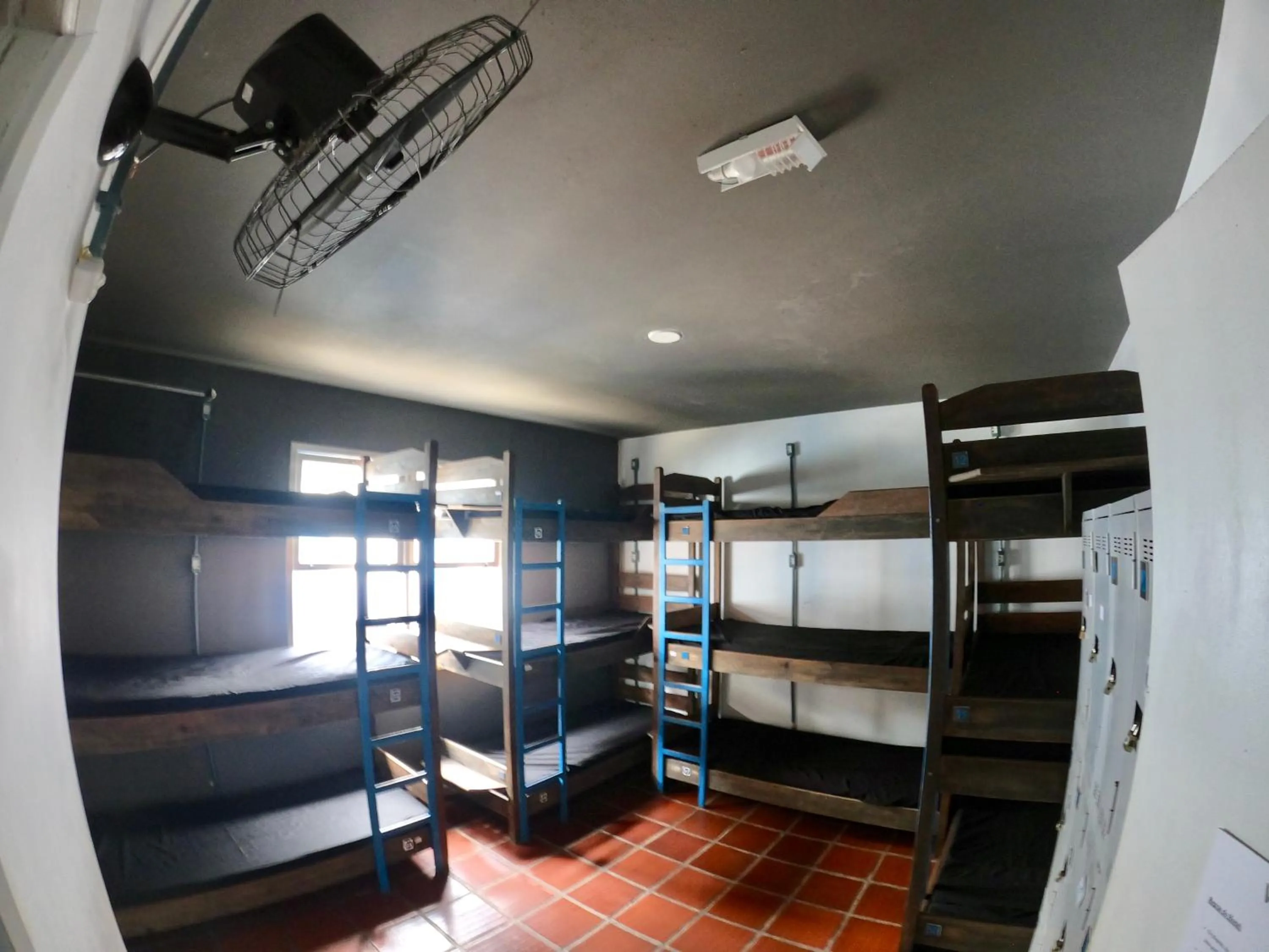 bunk bed, Bed in World Hostel - Canasvieiras