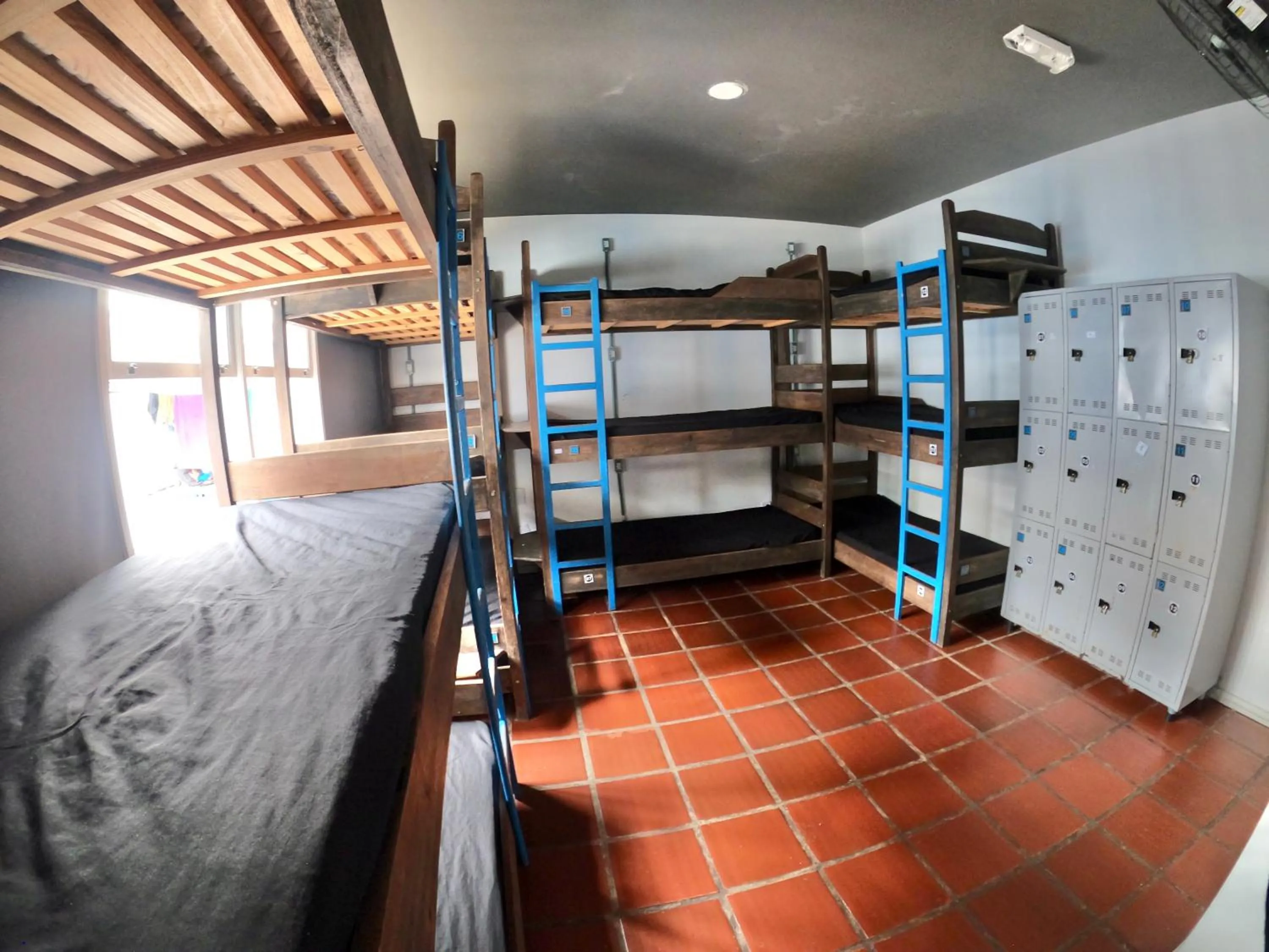 bunk bed, Bed in World Hostel - Canasvieiras