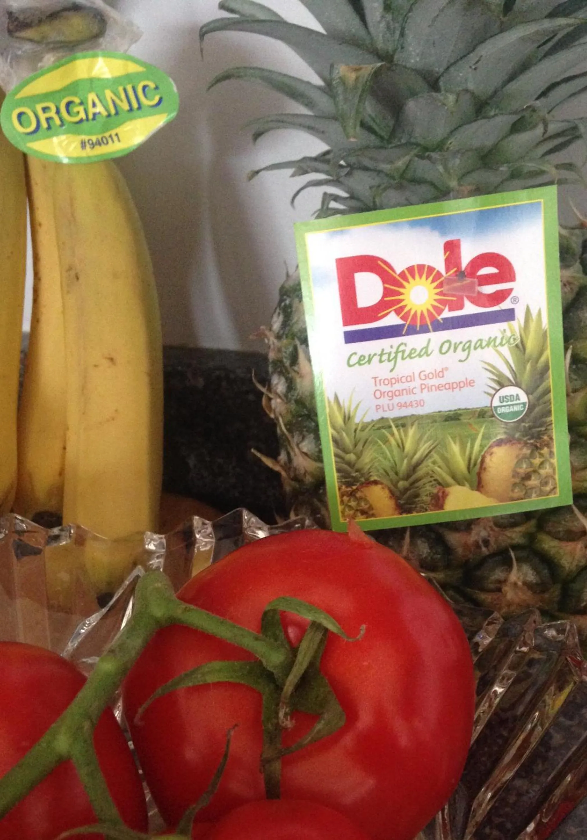 Garden in Donna's Bed & Breakfast