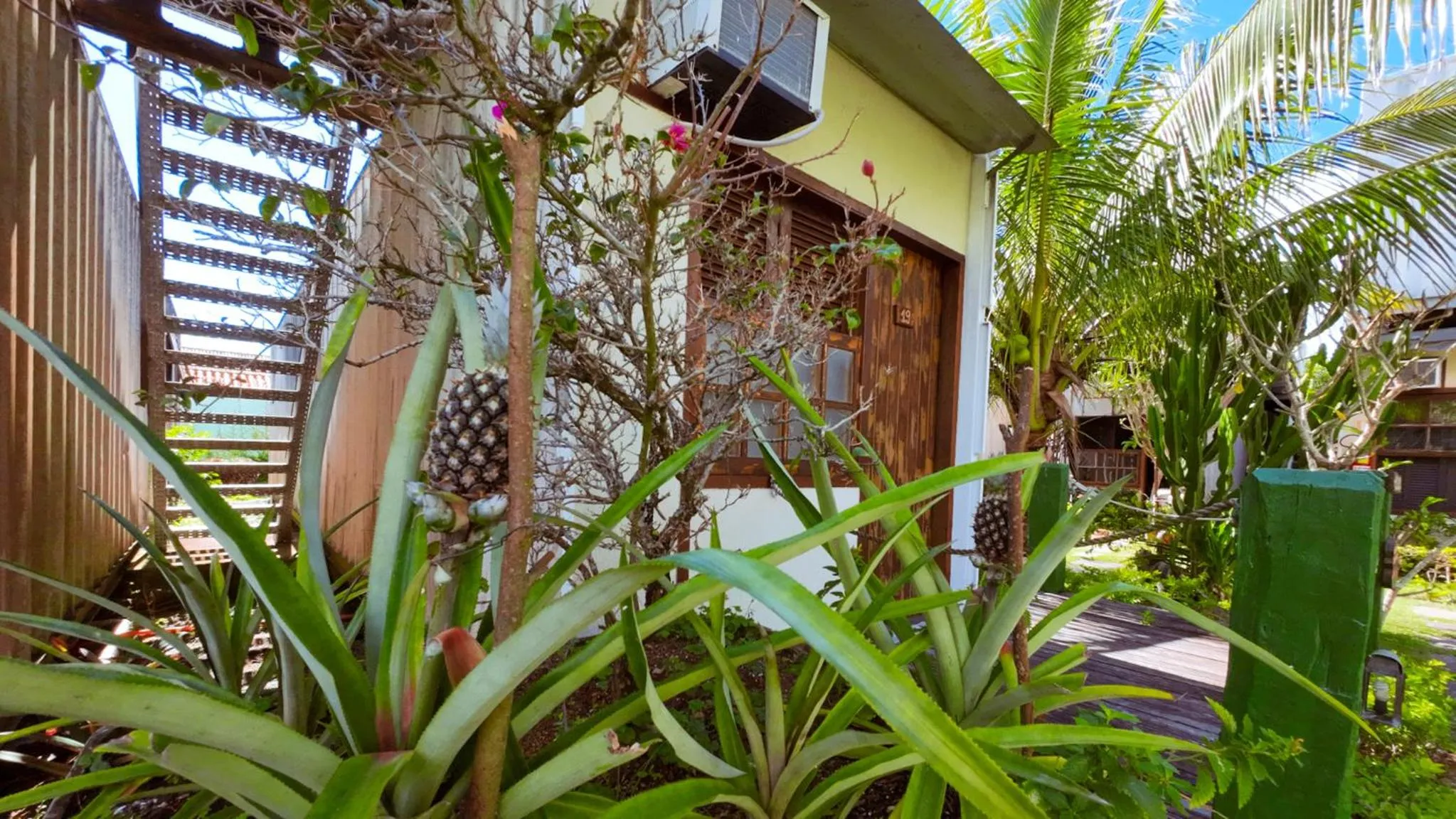 Container Eco Suítes