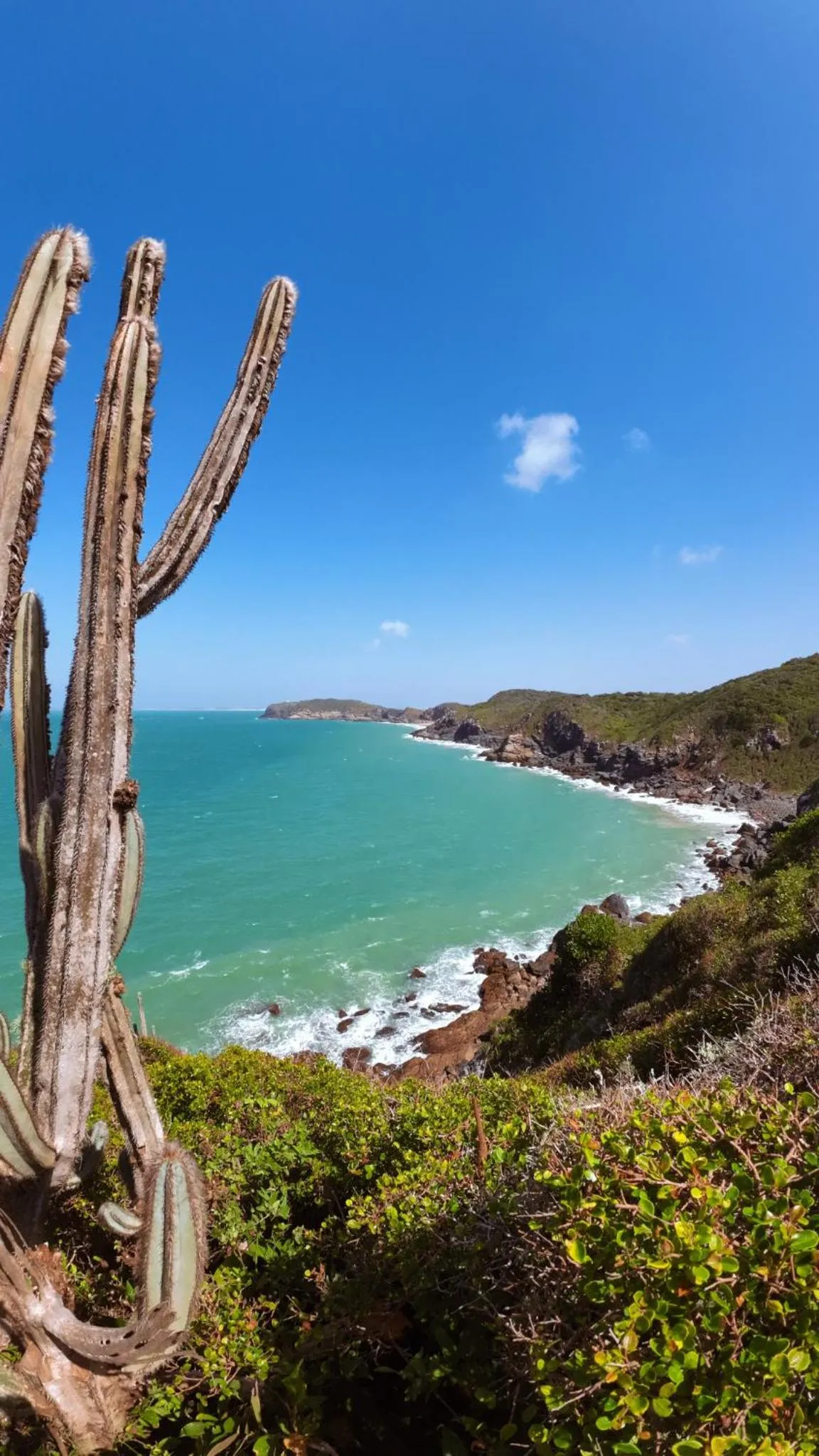 Container Eco Suítes