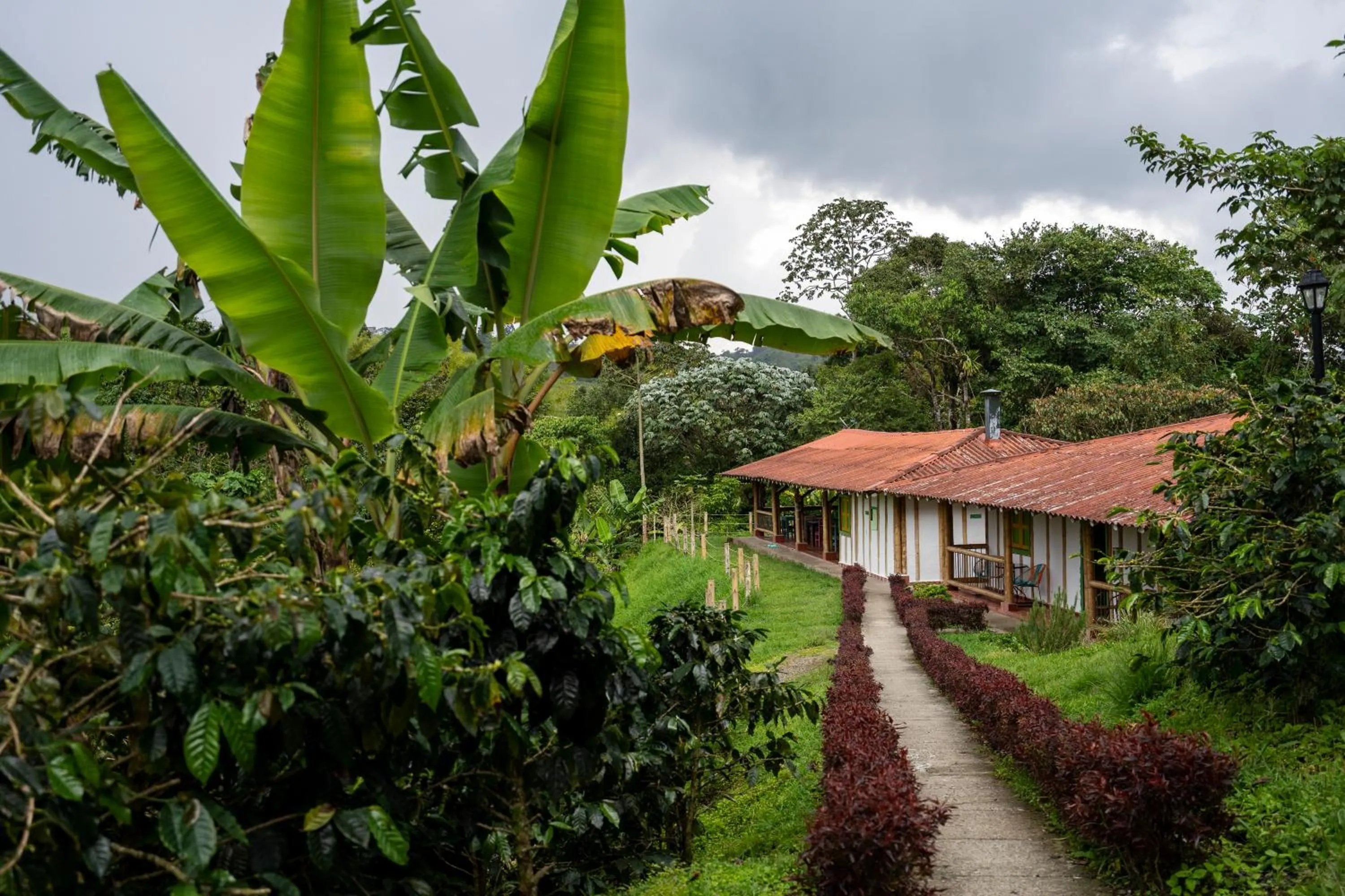Patio in Los Otobos finca hotel 1
