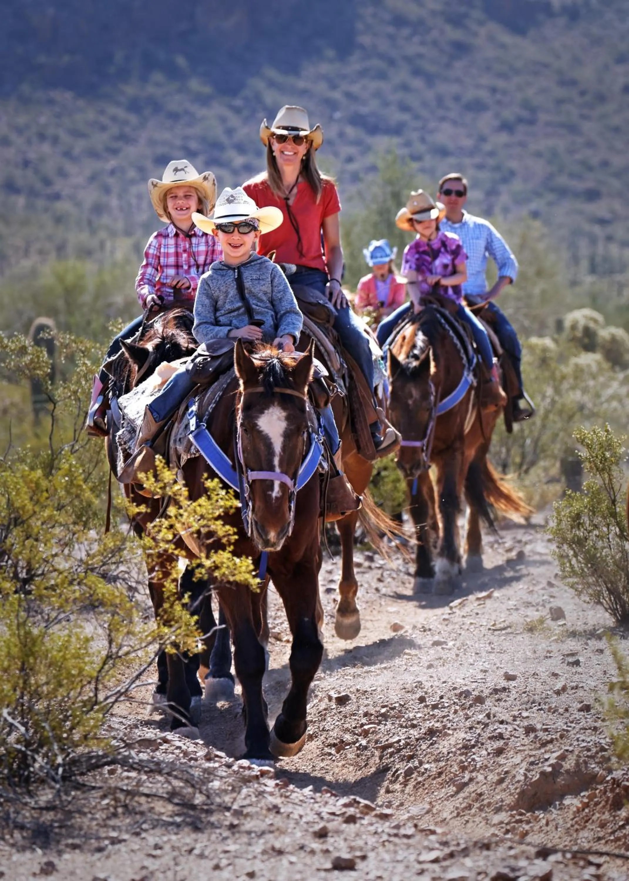 Horse-riding in White Stallion Ranch