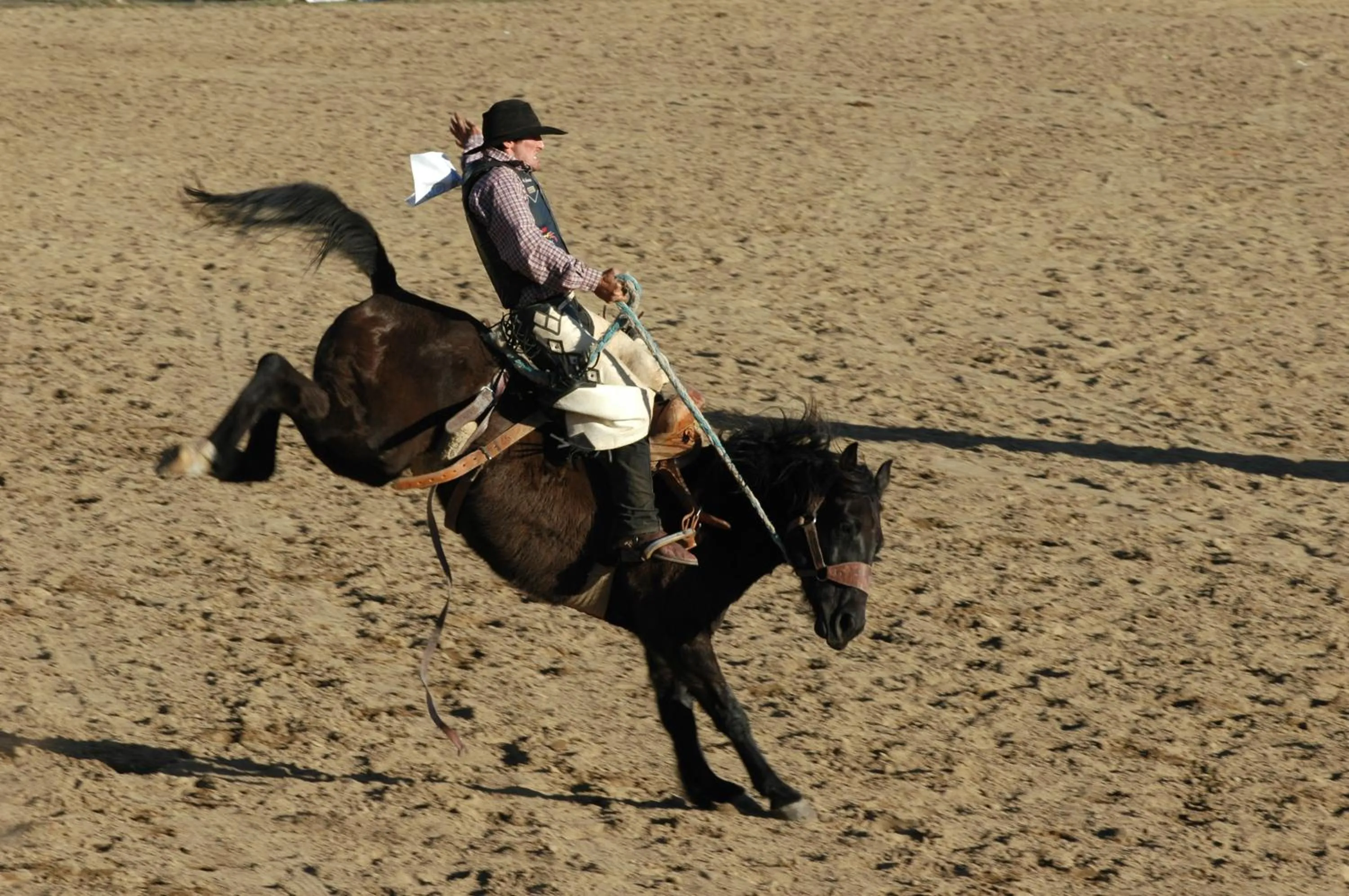 Activities in Jackaroo Motel