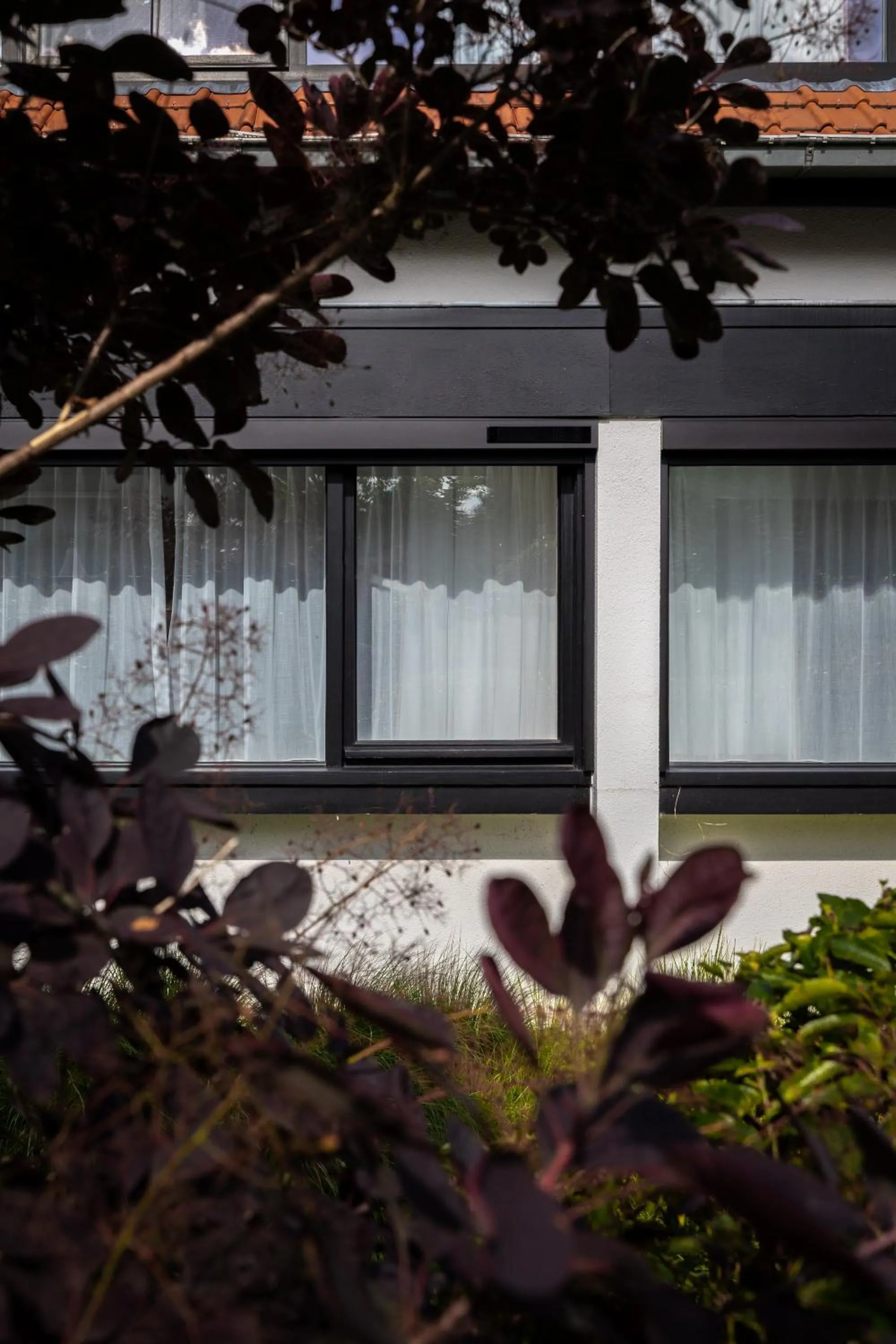 Property building in Hotel Olympia in Bruges