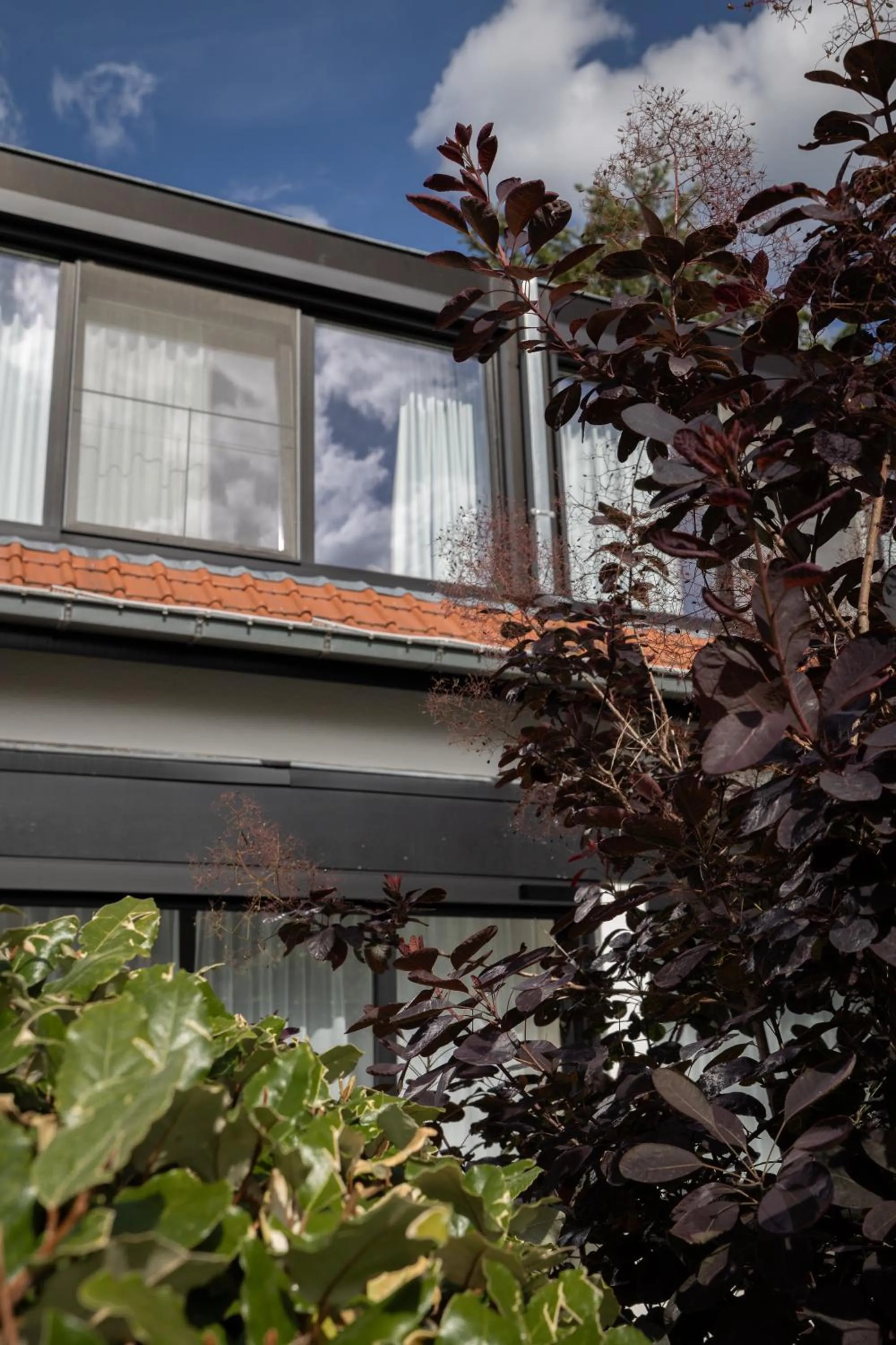 Garden in Hotel Olympia in Bruges