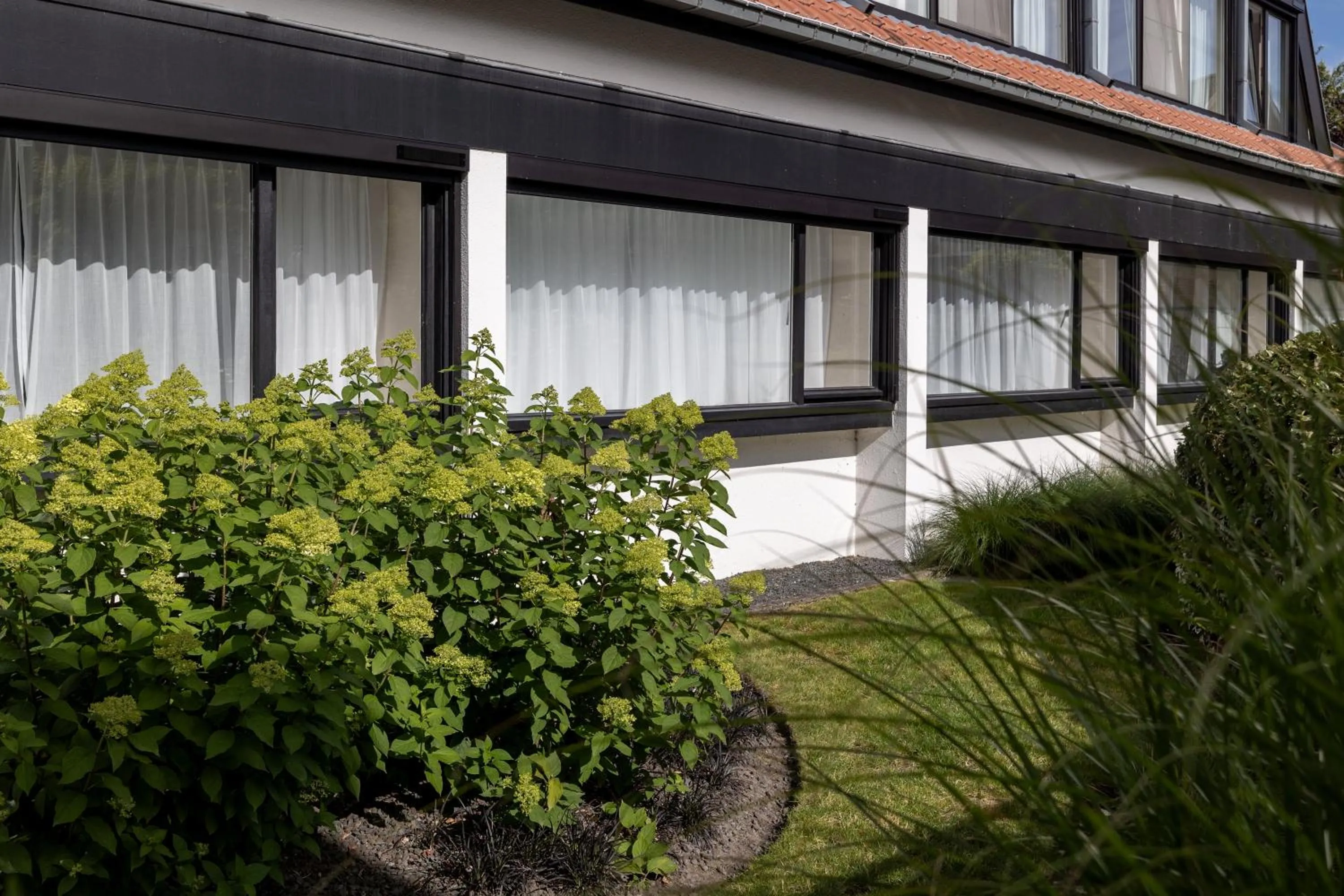 Property building in Hotel Olympia in Bruges