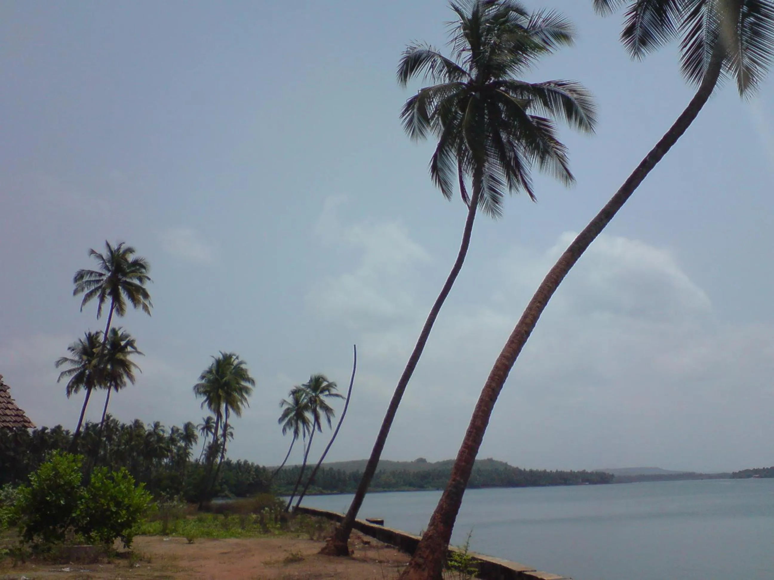 Beach in Mama Mids Home