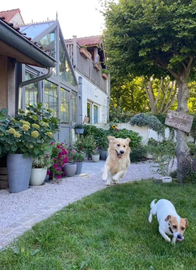 Horenbecca Bistro & Wellness