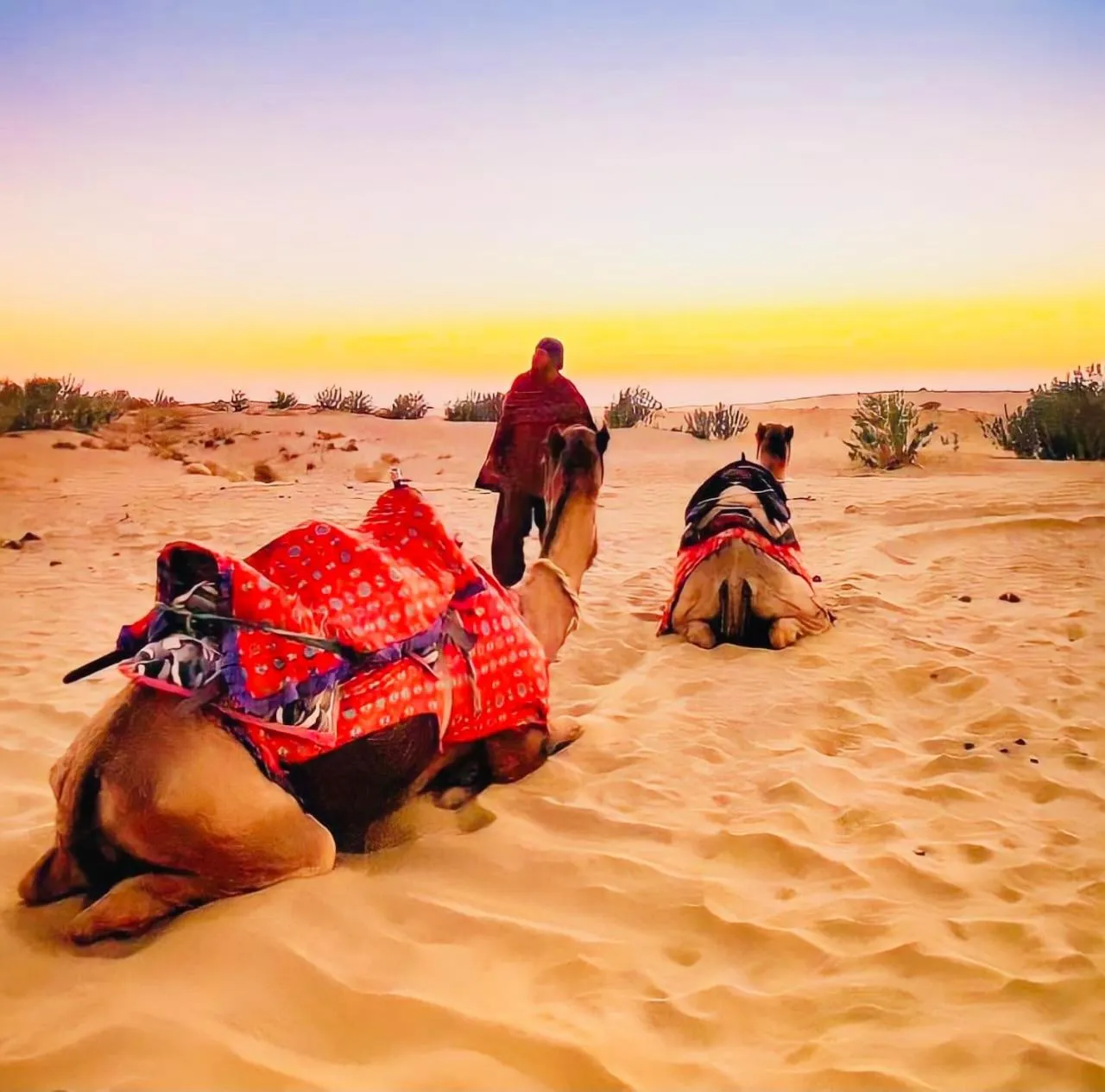 People in Jaisalmer Hostel Crowd