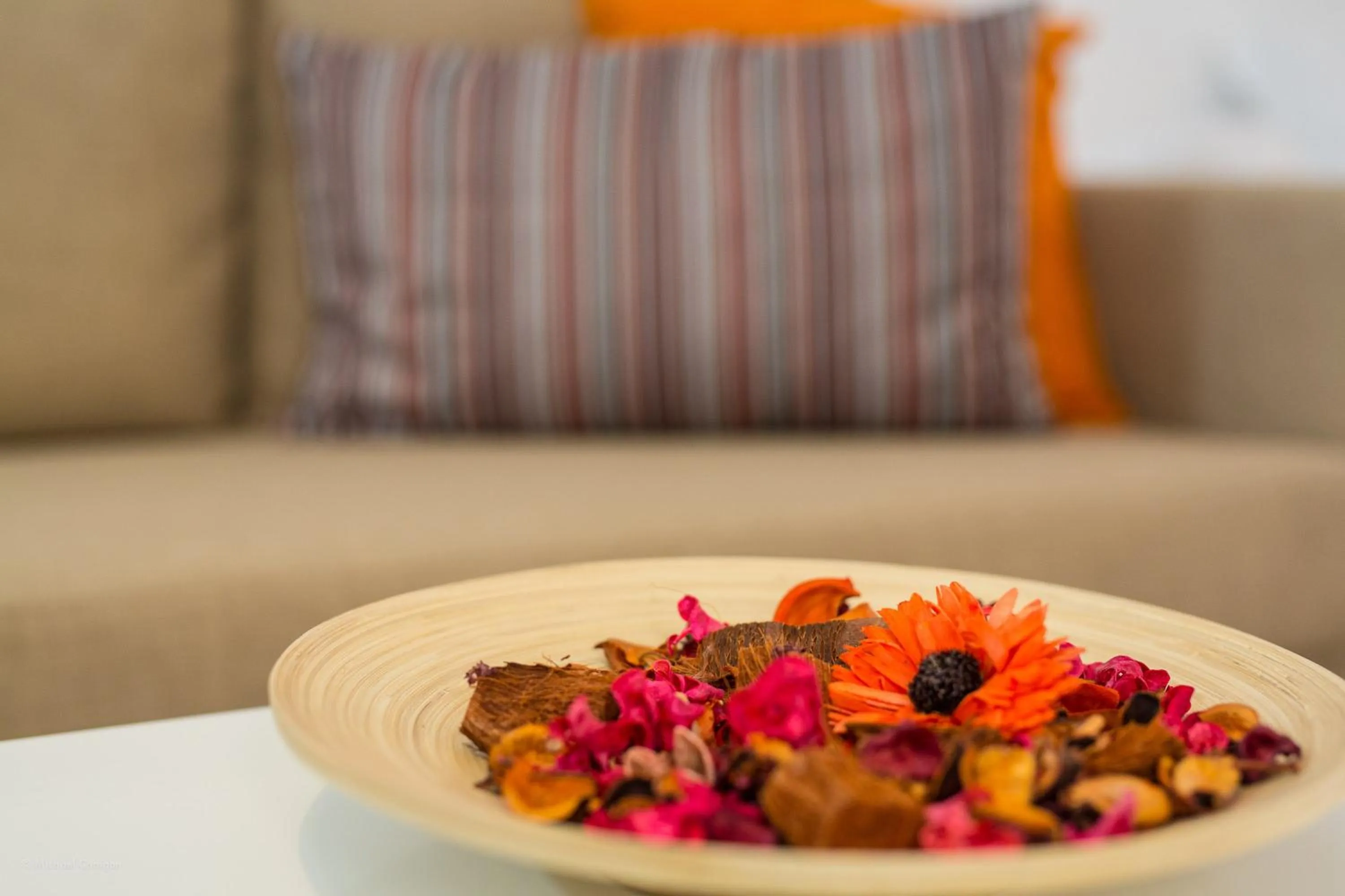 Decorative detail in Apartamentos Los Cantaros