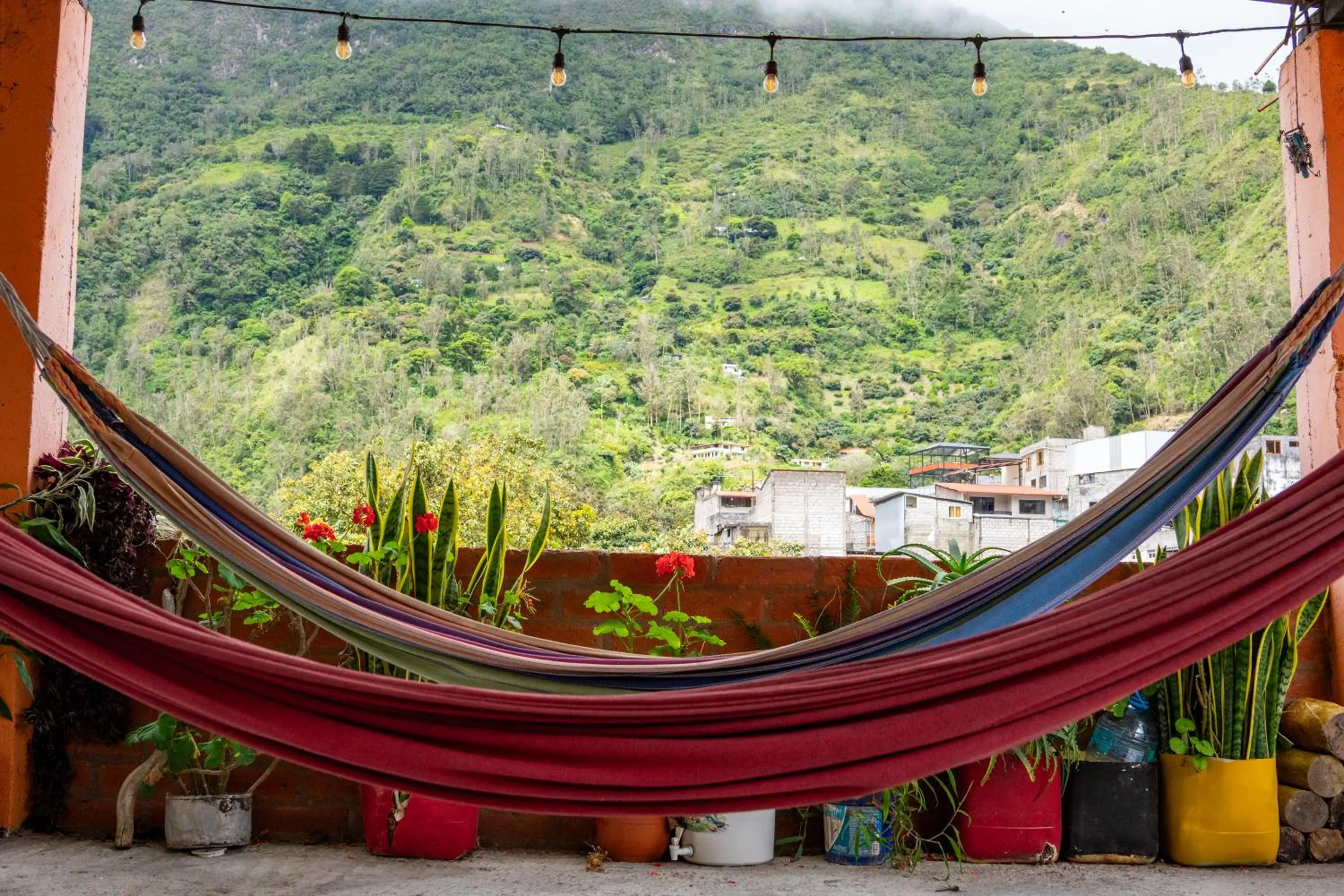 Area and facilities in Hostal La Casa Amarilla City