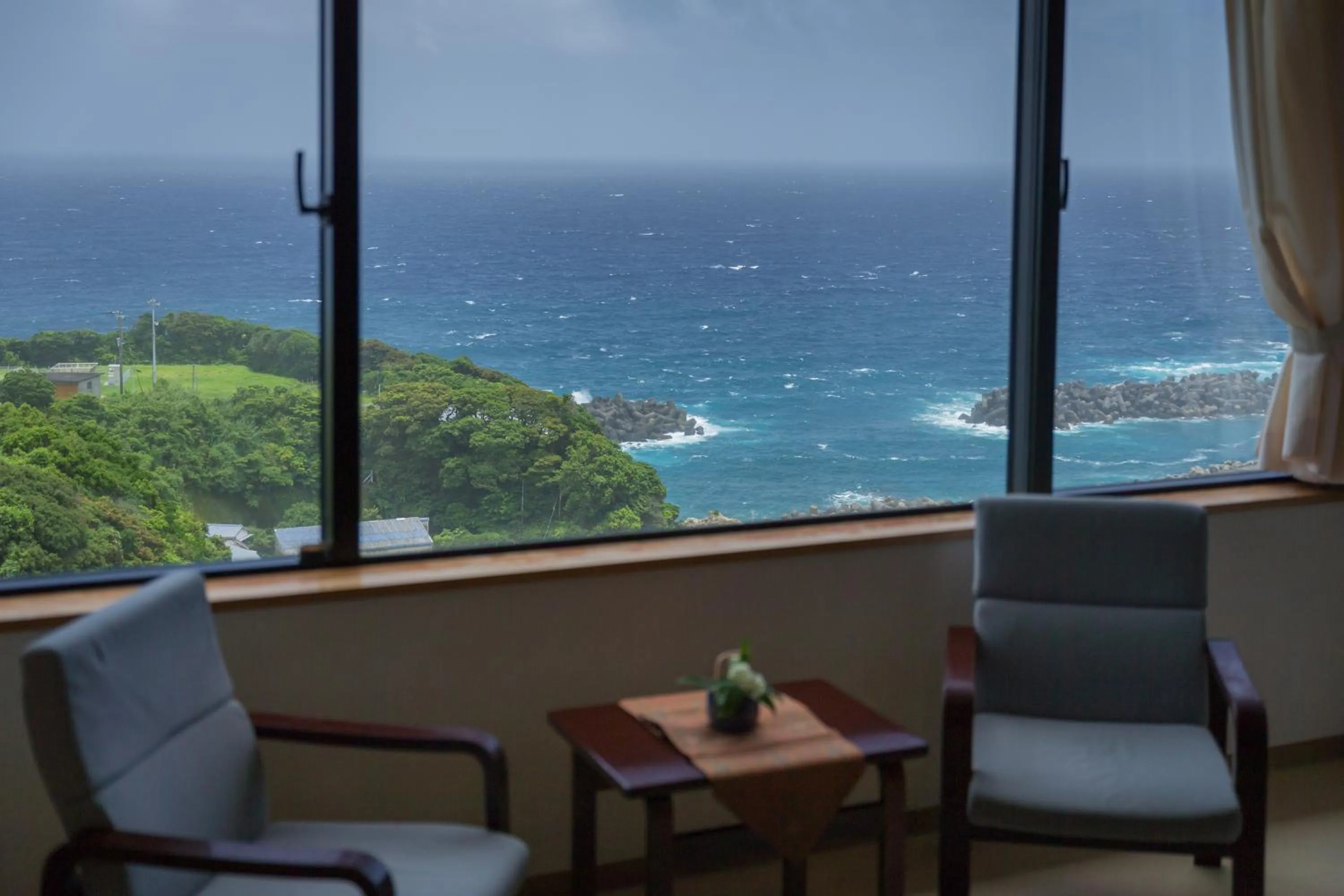 View (from property/room) in Ashizuri Kokusai Hotel