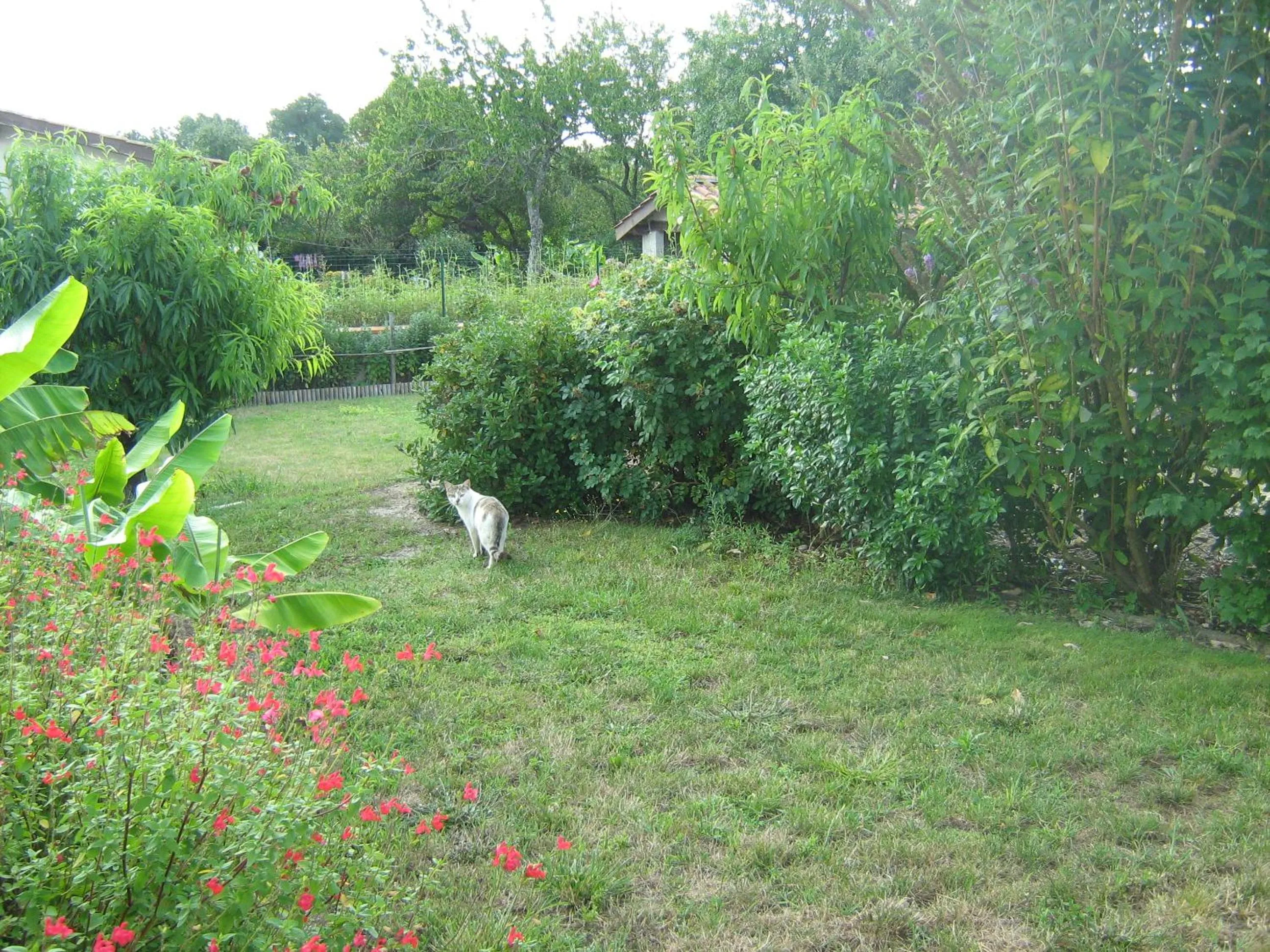 Garden view in La Halte de Segondignac
