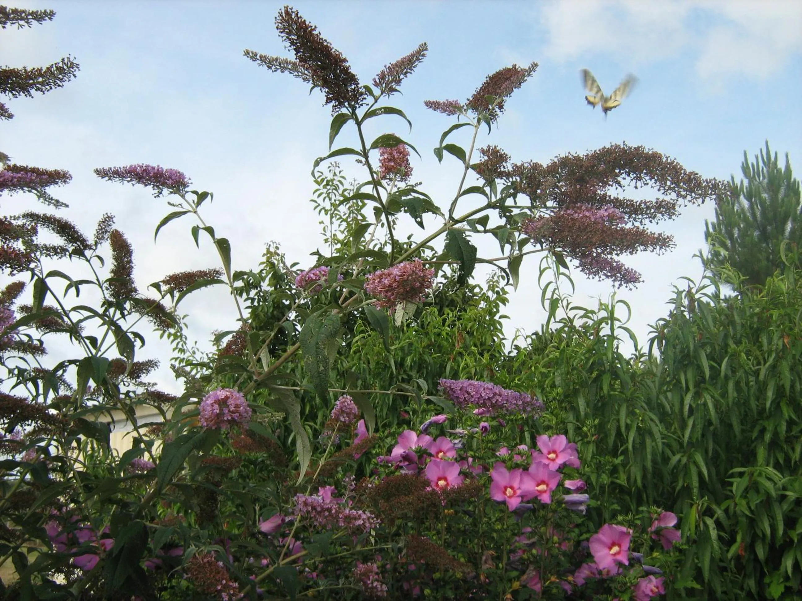 Day in La Halte de Segondignac