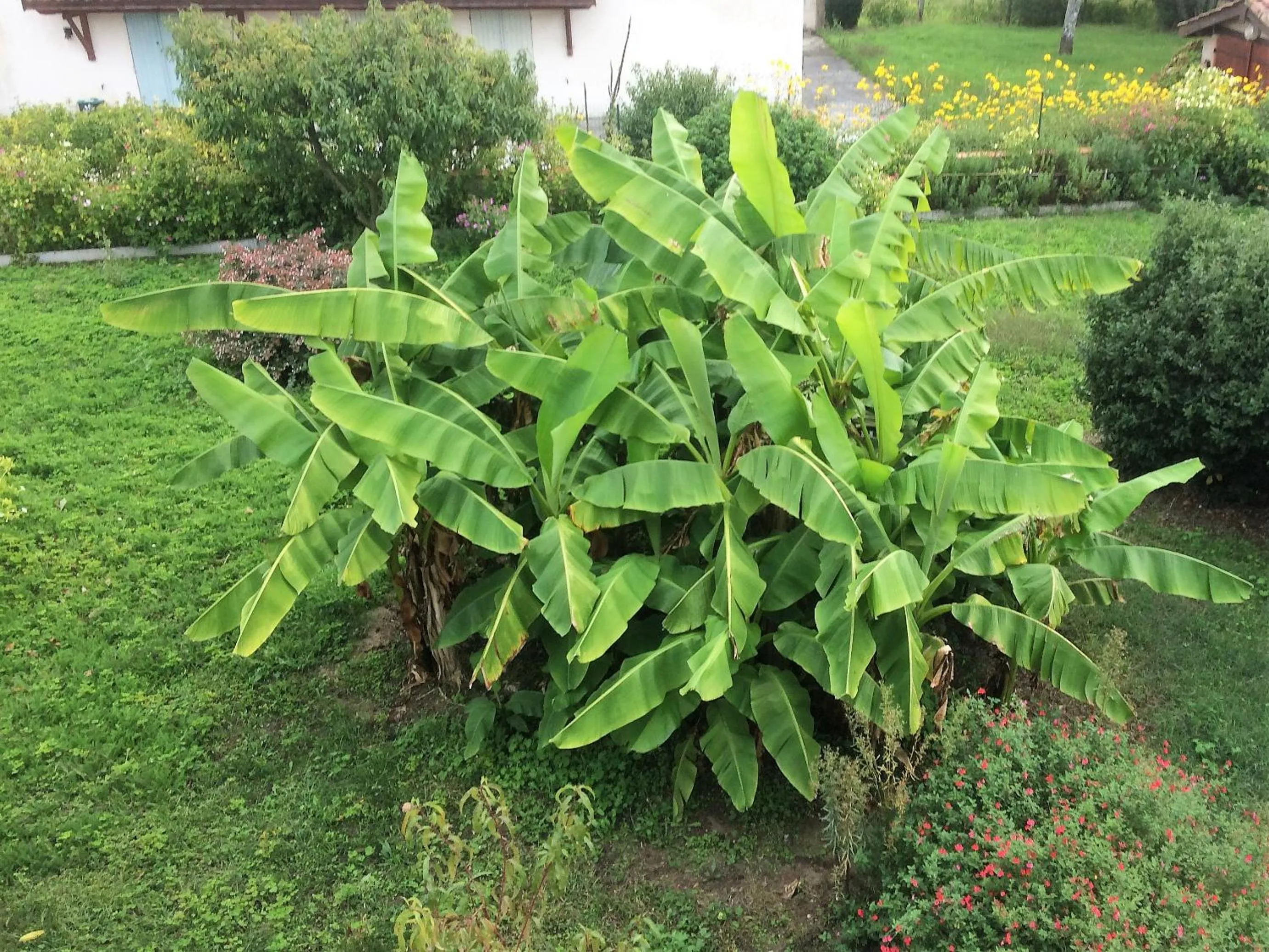 Garden view in La Halte de Segondignac