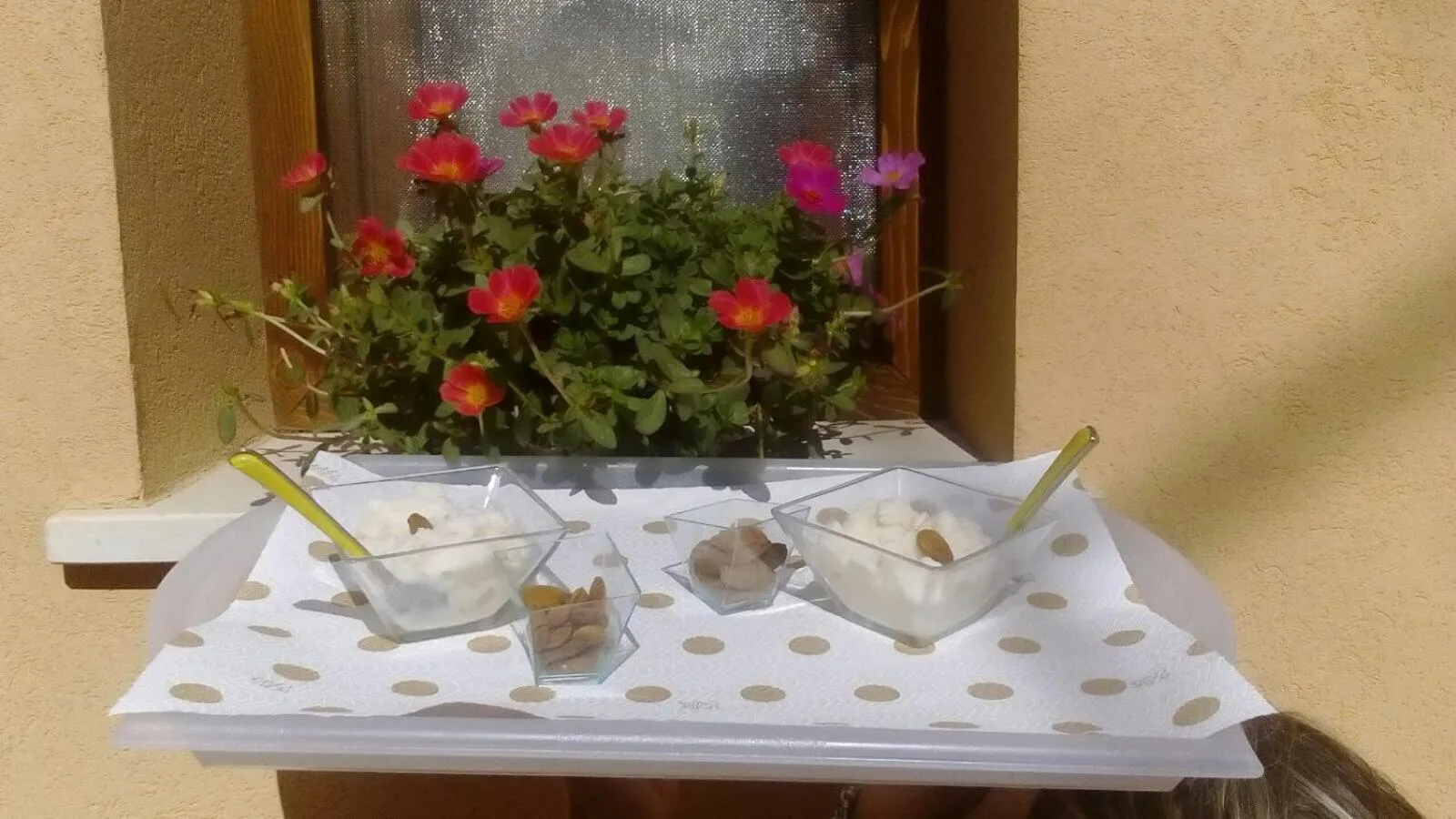 Abbraccio del Carrubo