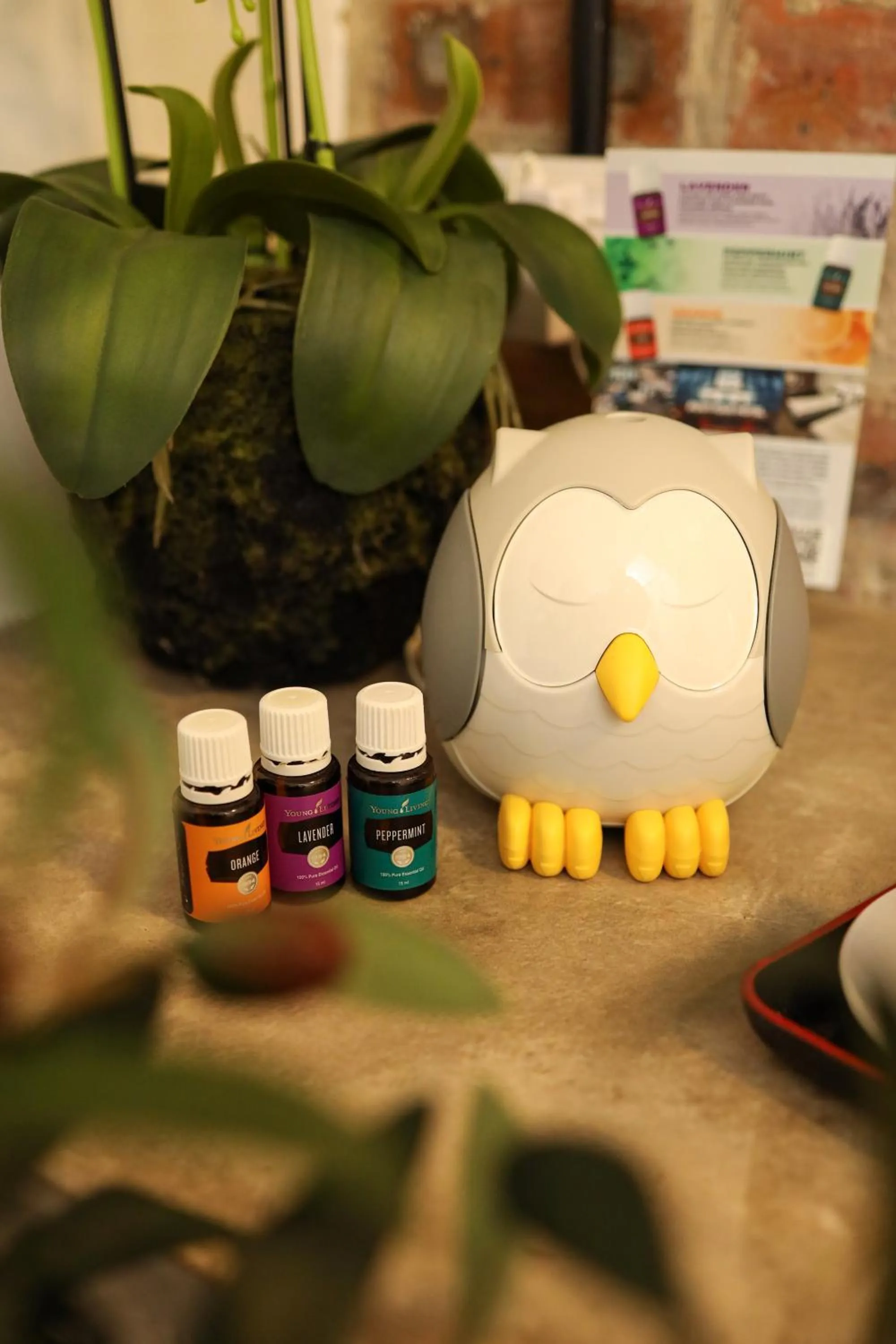 Area and facilities in Suite 18 Boutique Hotel