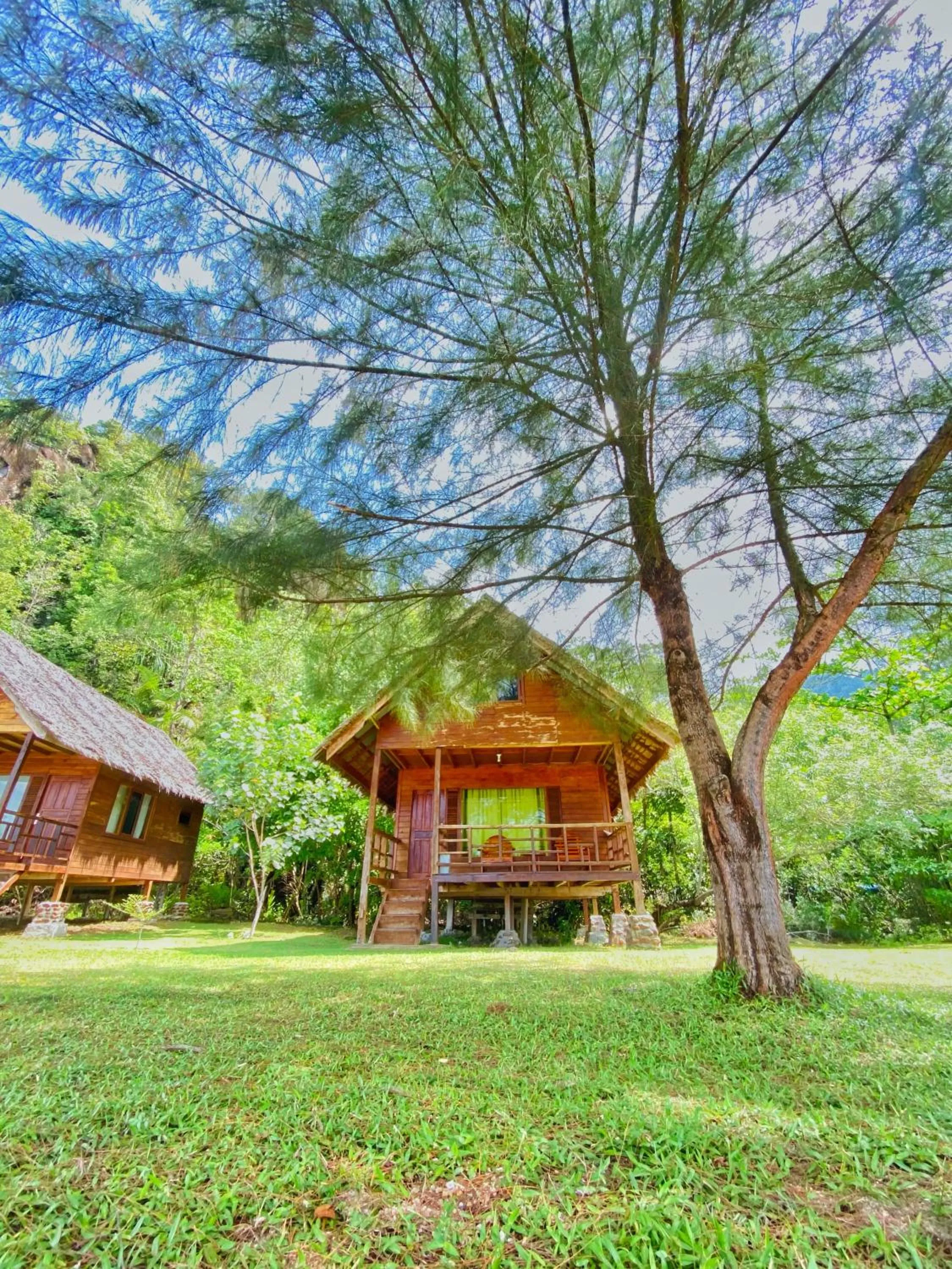 Garden in Ricky's Beach House