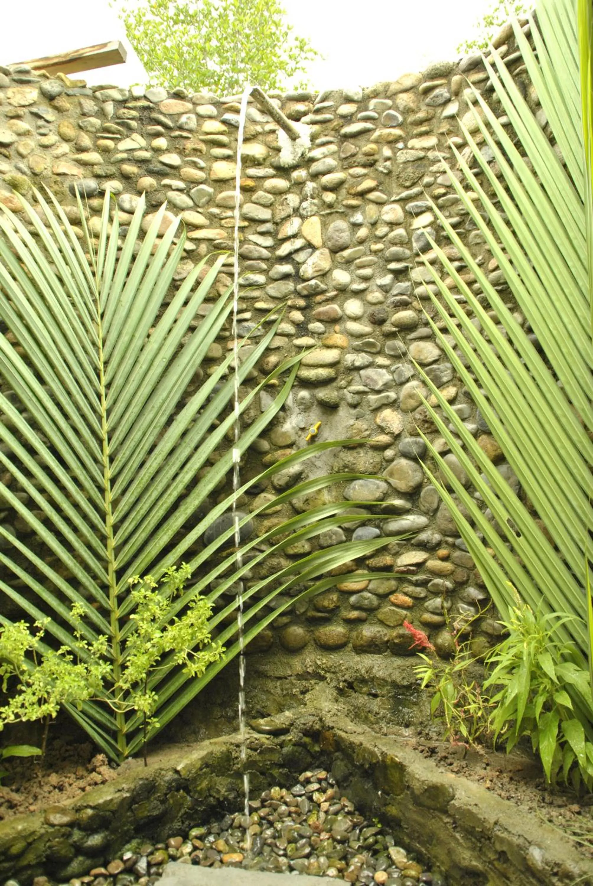 Other in Ricky's Beach House