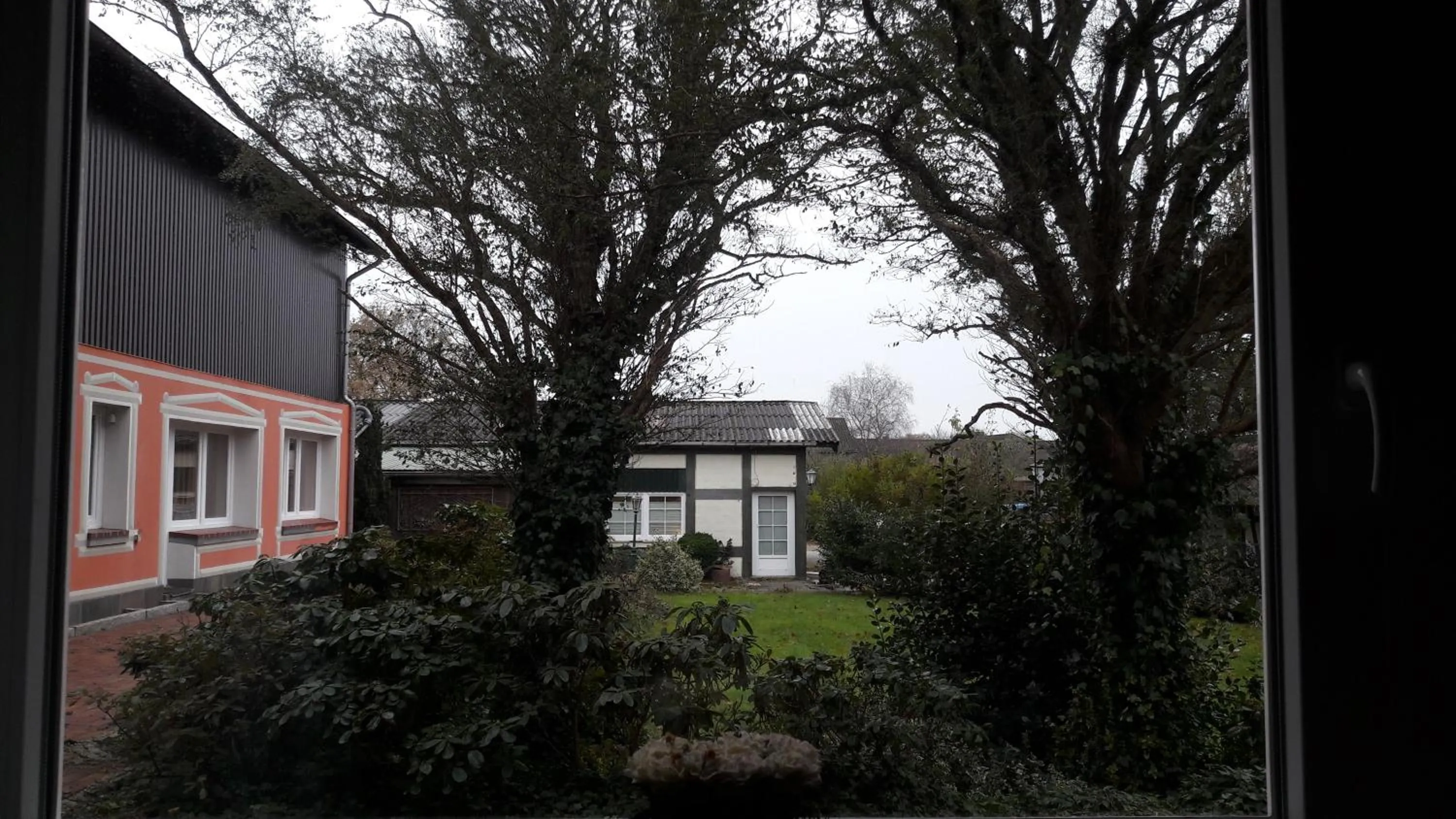 Garden in Bed and Breakfast Dannevirke