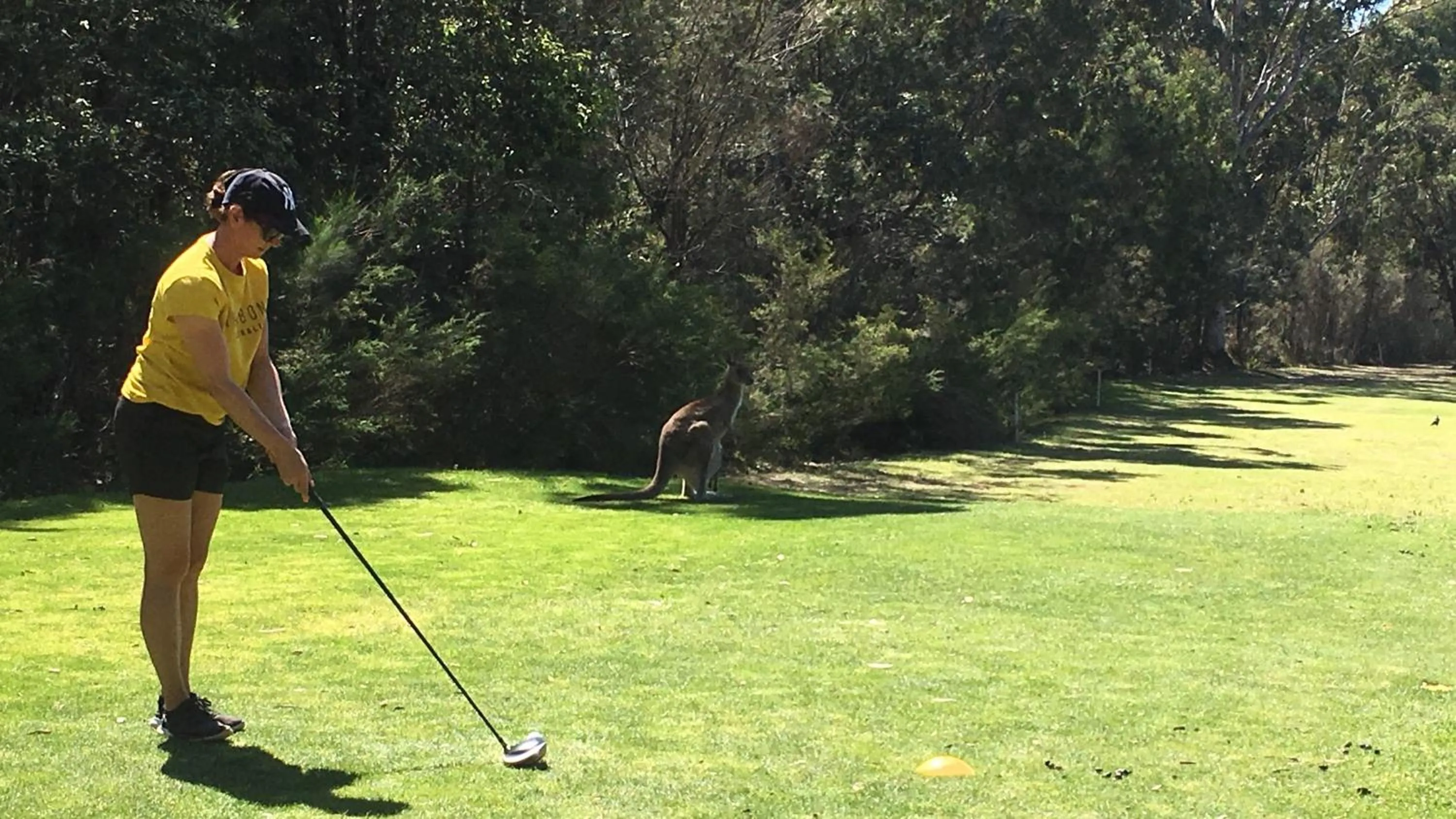 Golfcourse in Laguna lodge Group Accommodation