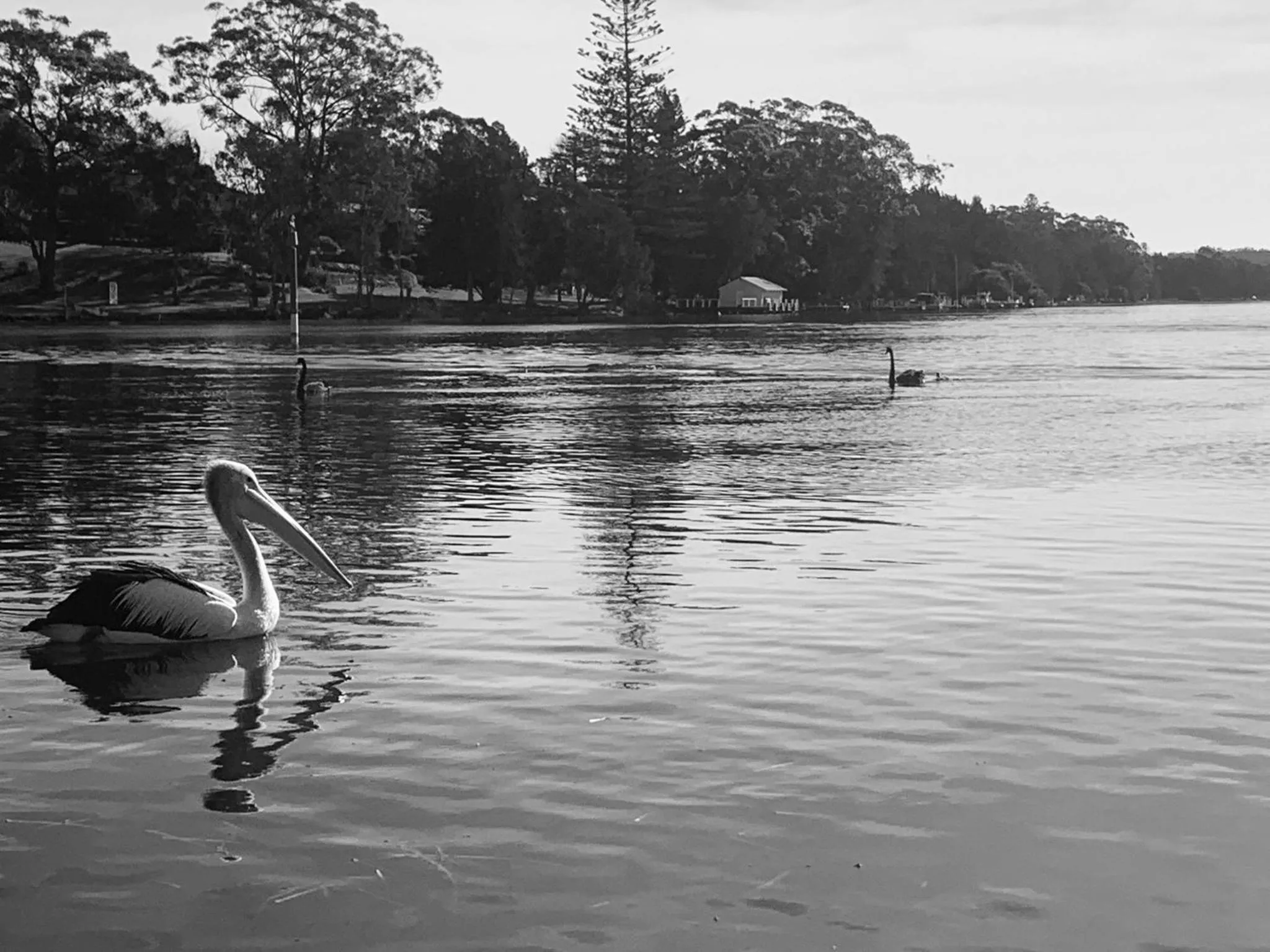 Laguna lodge Group Accommodation