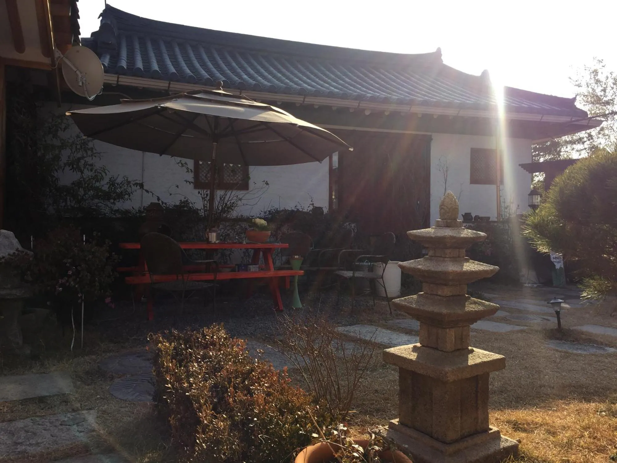 Garden in Dorandoran Guesthouse