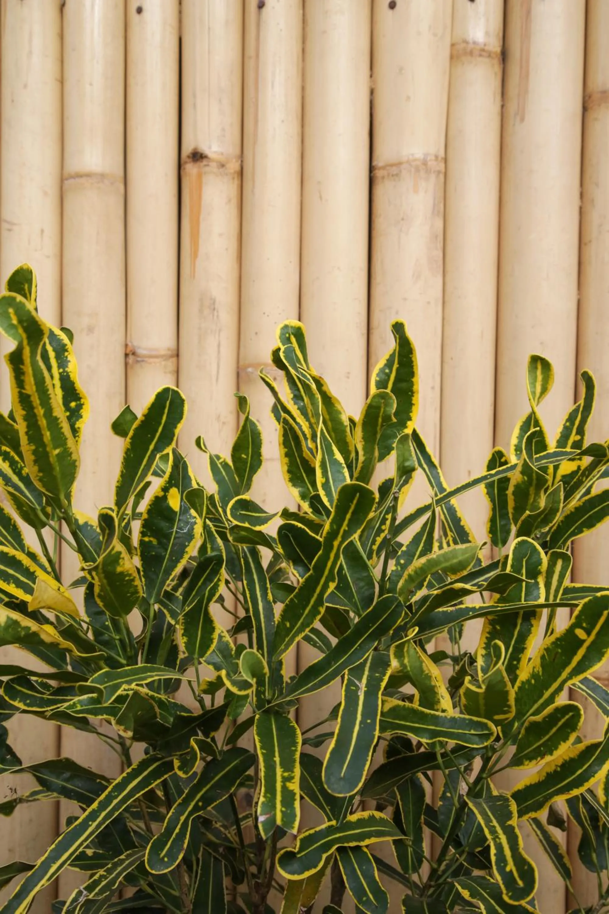 Other in Villas Edenia - Luxe Villas with Private Pools