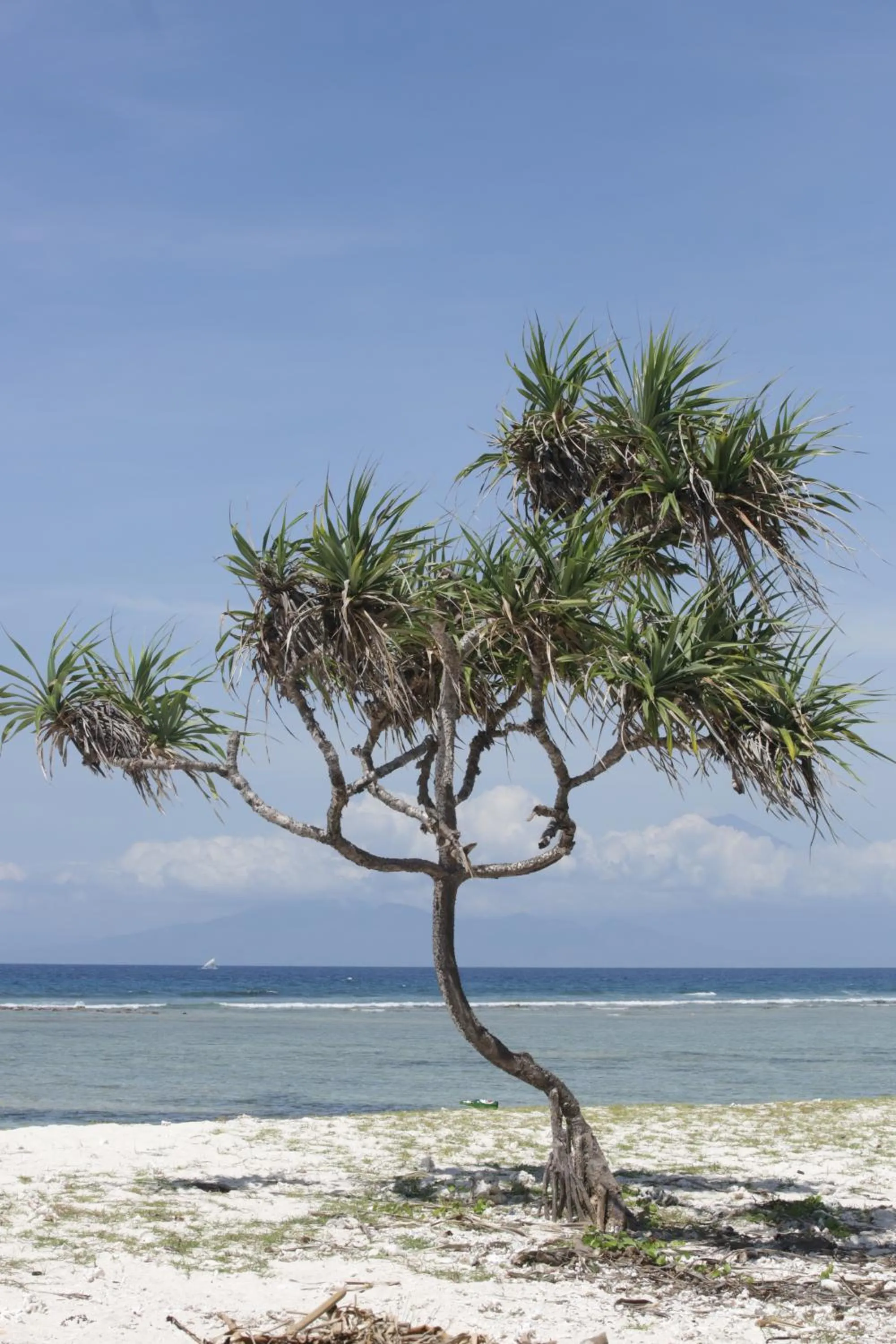 Natural landscape in Villas Edenia - Luxe Villas with Private Pools