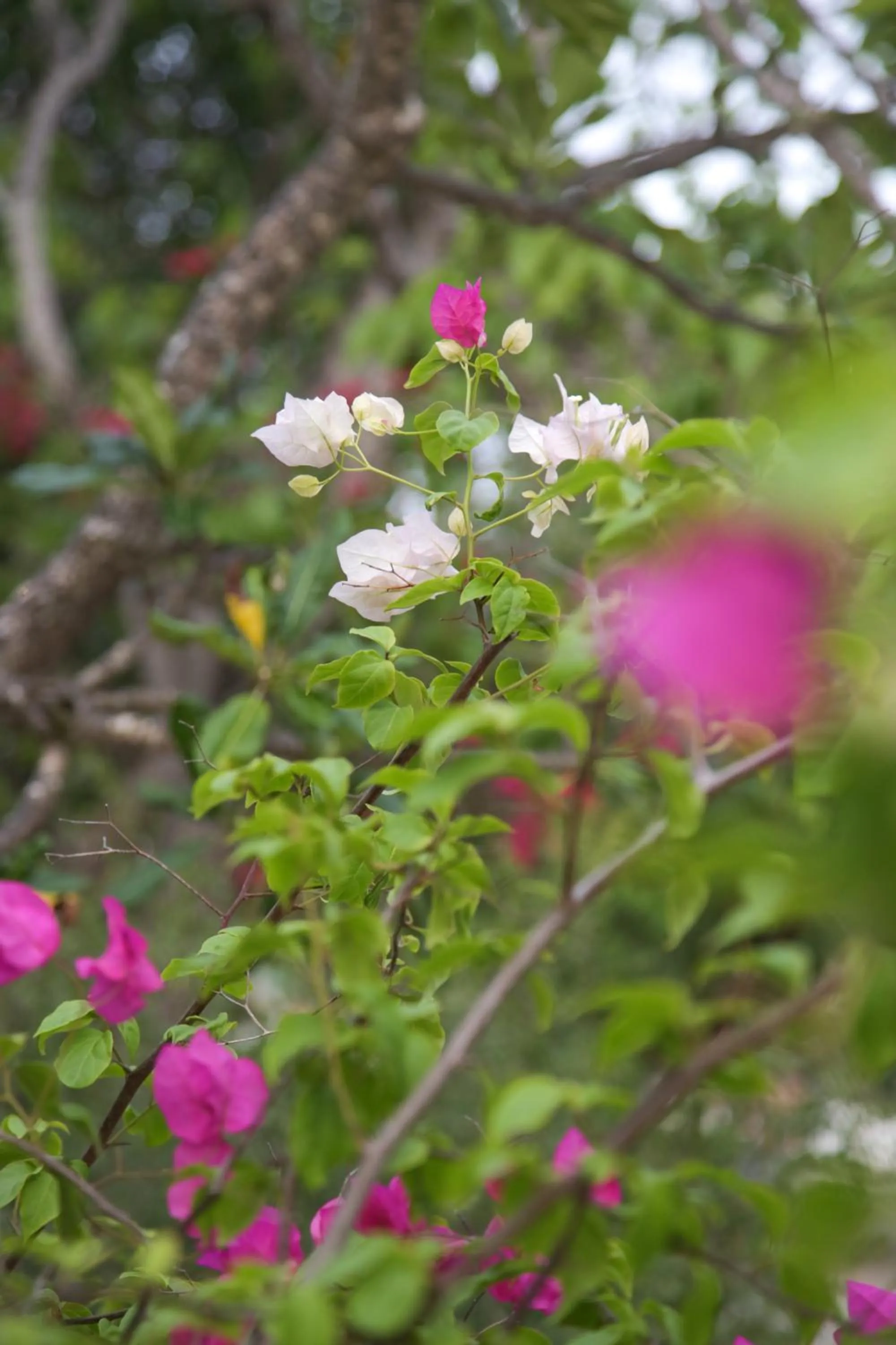 Other in Villas Edenia - Luxe Villas with Private Pools