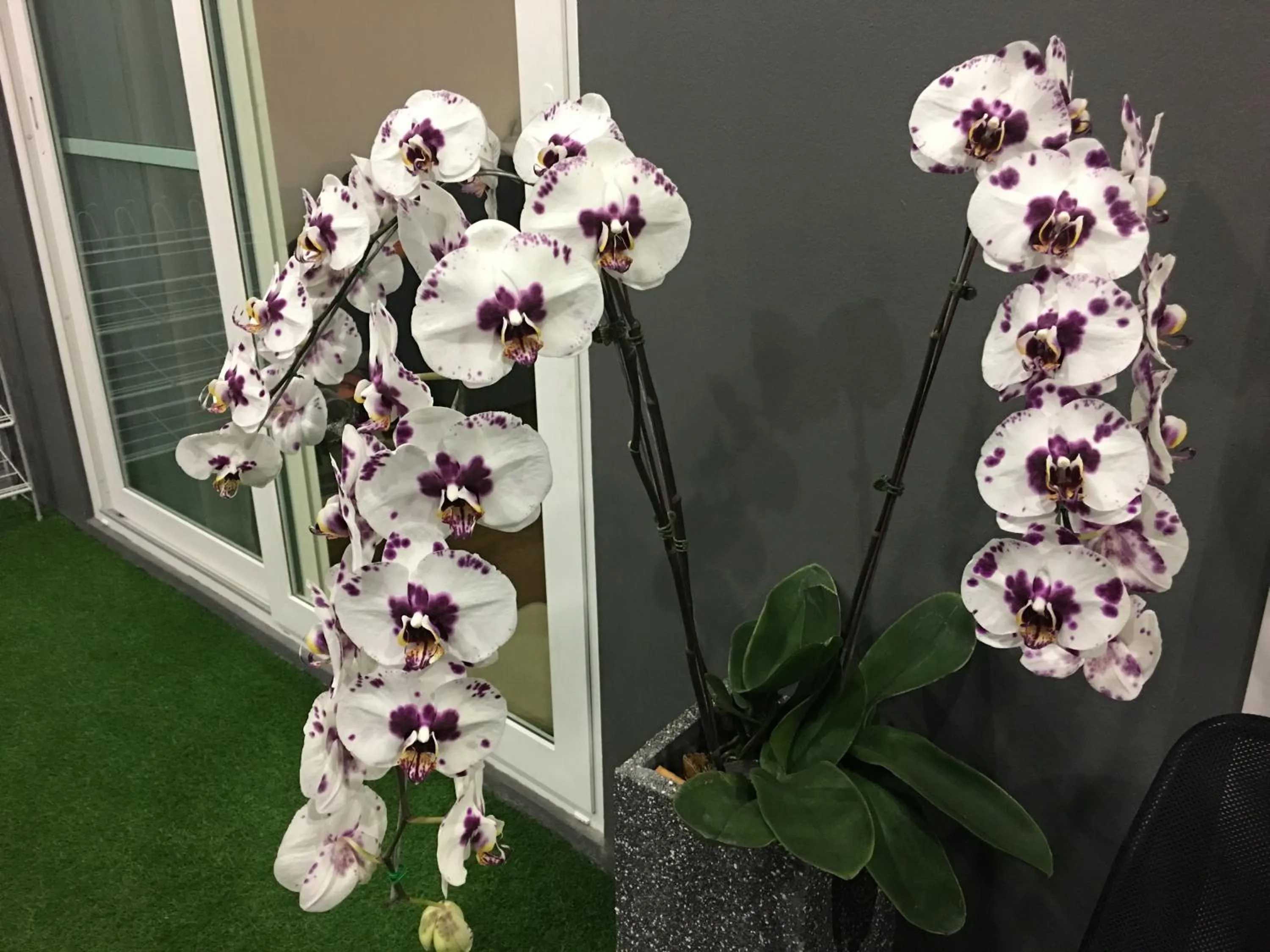 Property building in Sirinan Villa Nimman ChiangMai