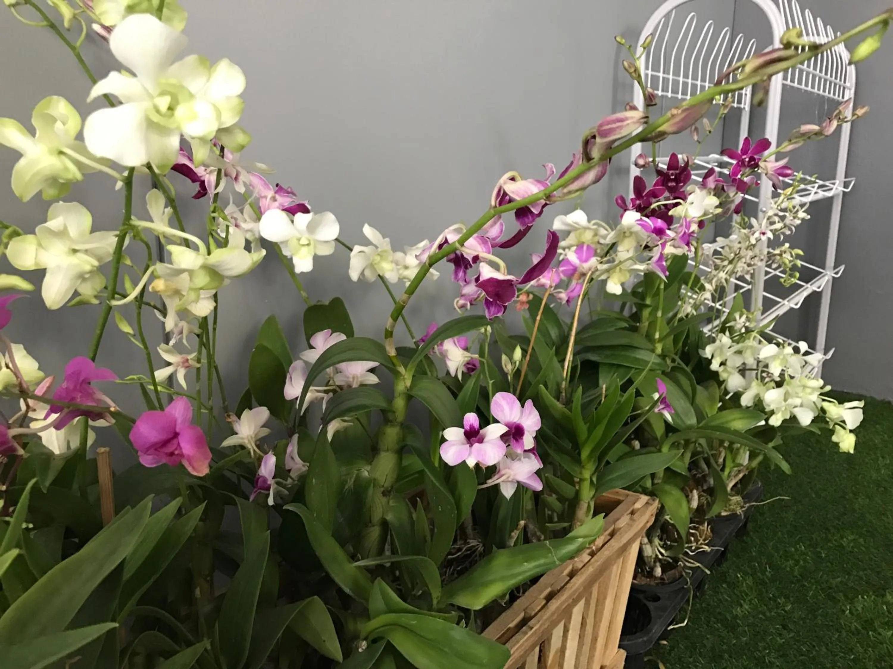 Decorative detail in Sirinan Villa Nimman ChiangMai