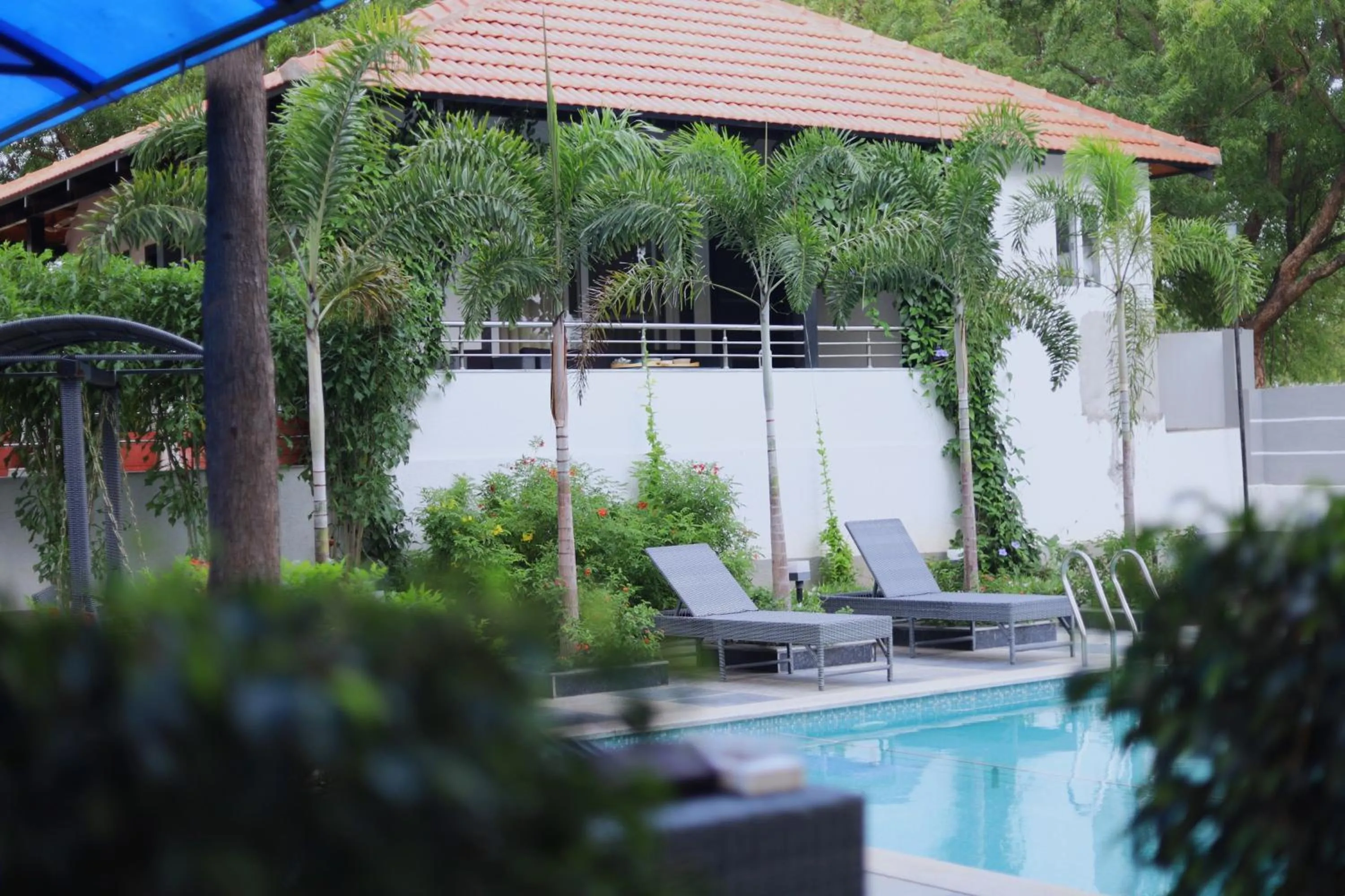 Button Eyes Resort - Pet friendly