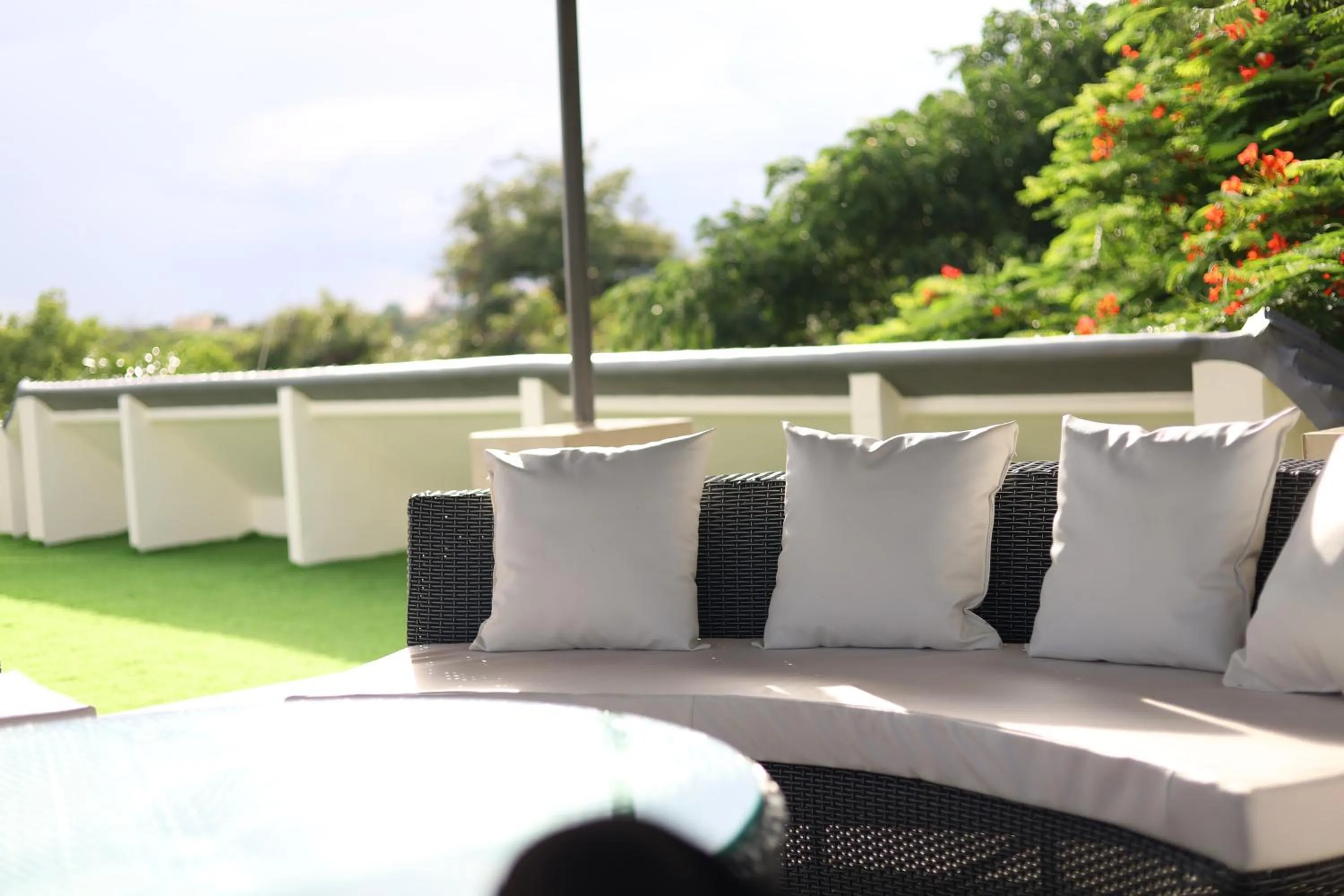 Button Eyes Resort - Pet friendly